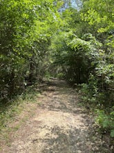 Coloneh Trail