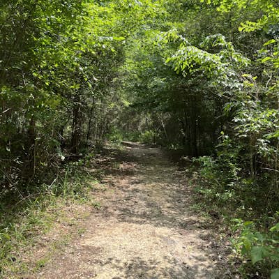 Coloneh Trail