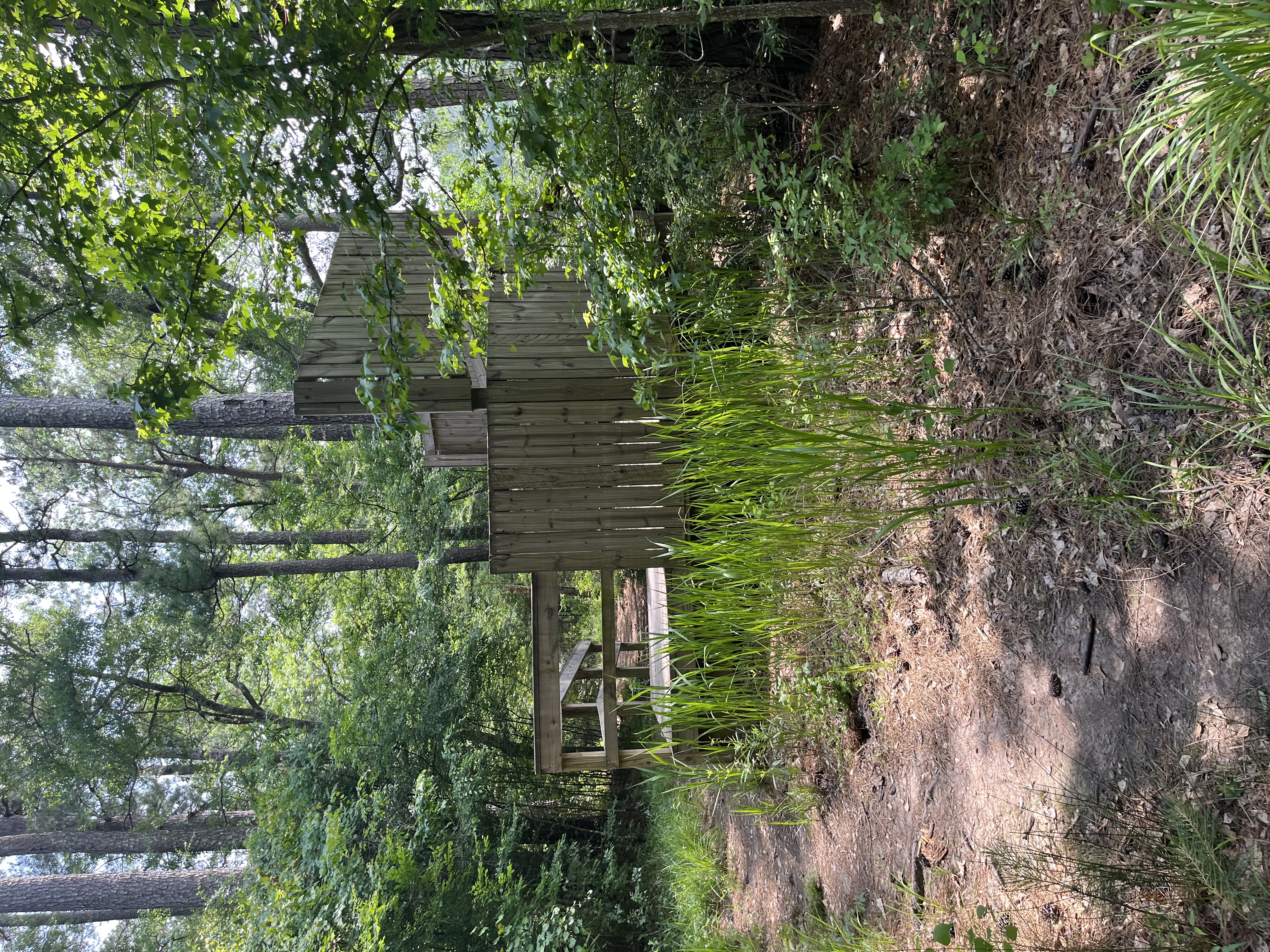 Coloneh Trail