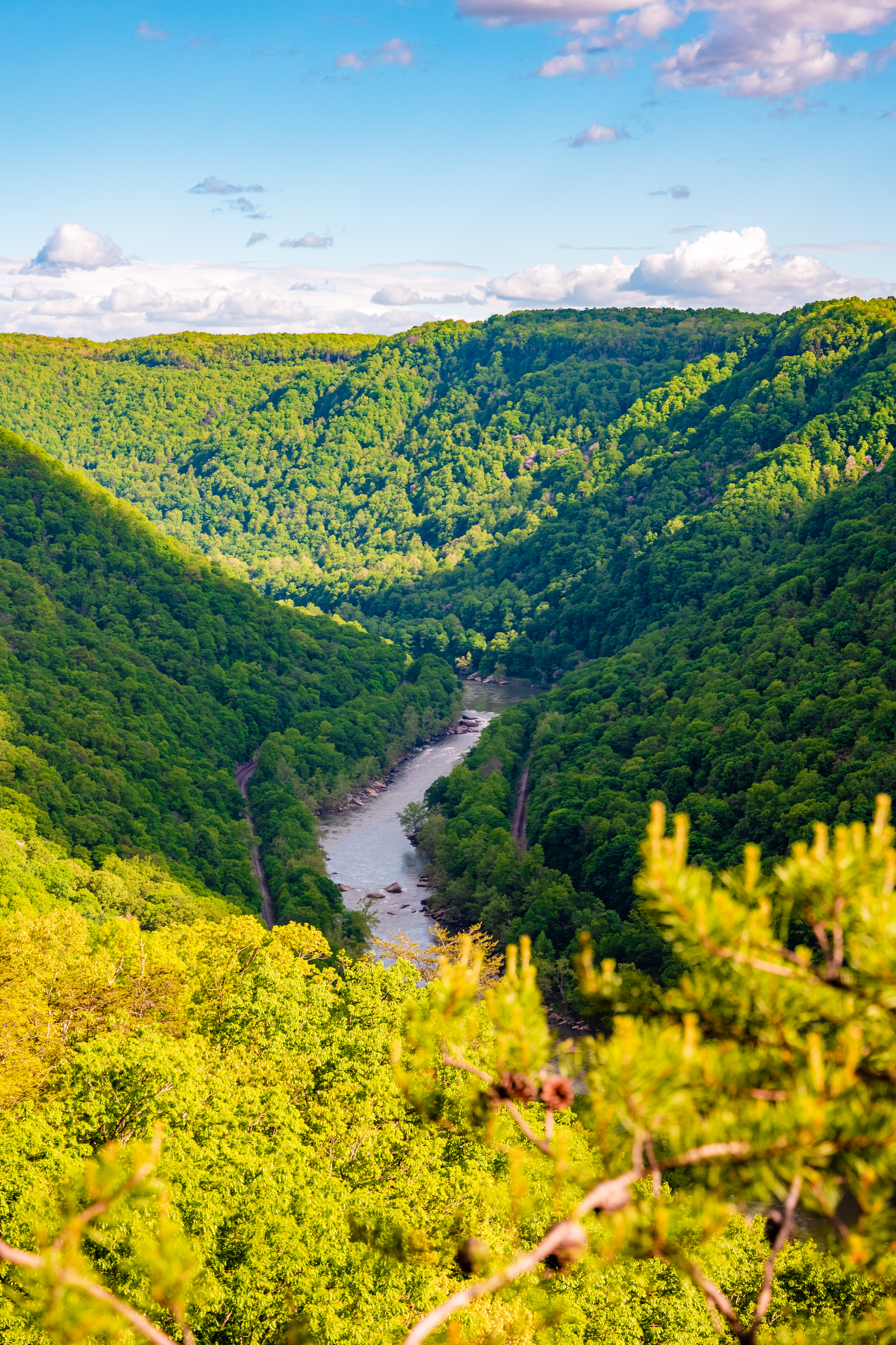Canyon Rim Overlook Boardwalk
