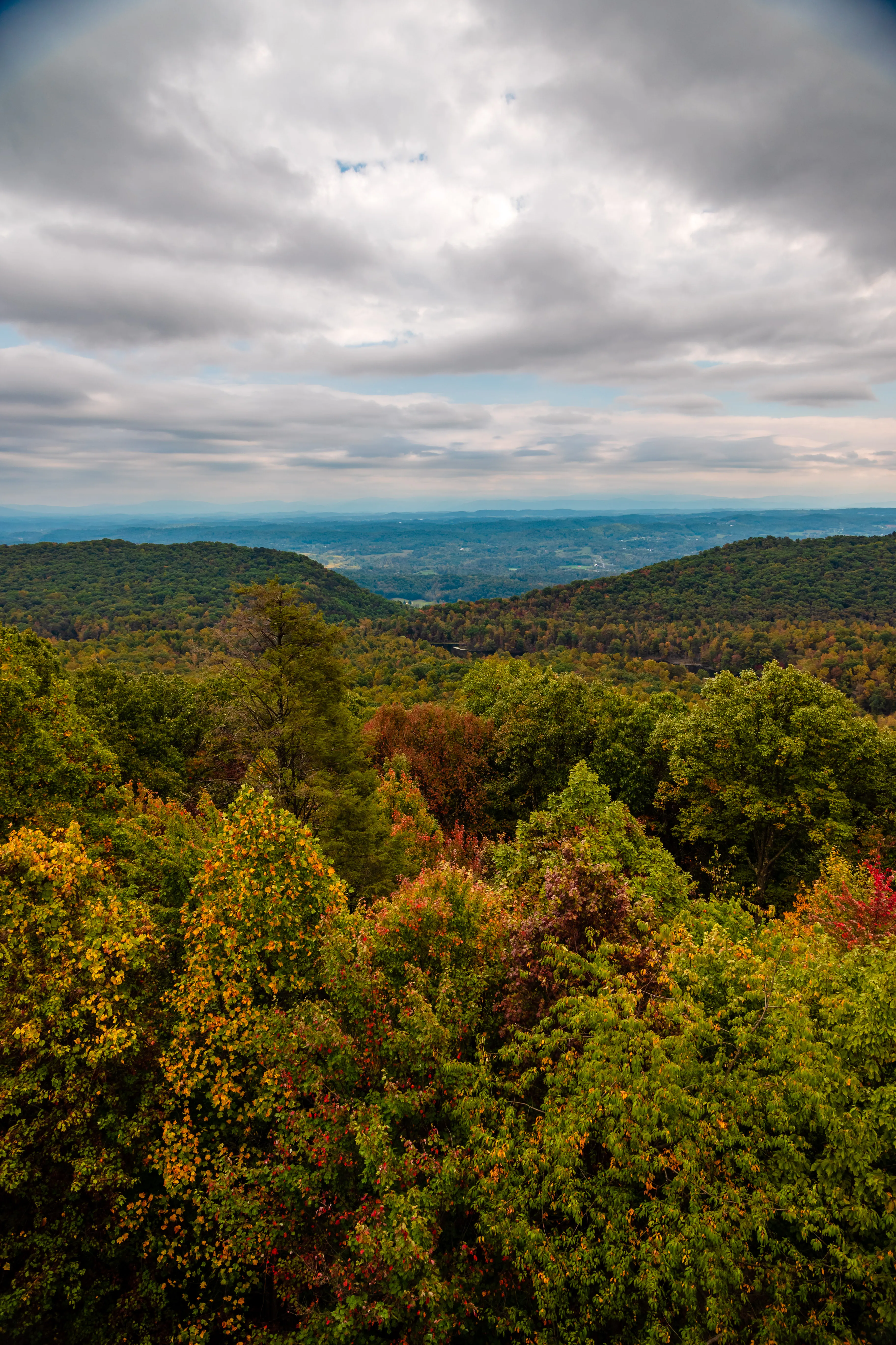 Bay's Mountain Firetower