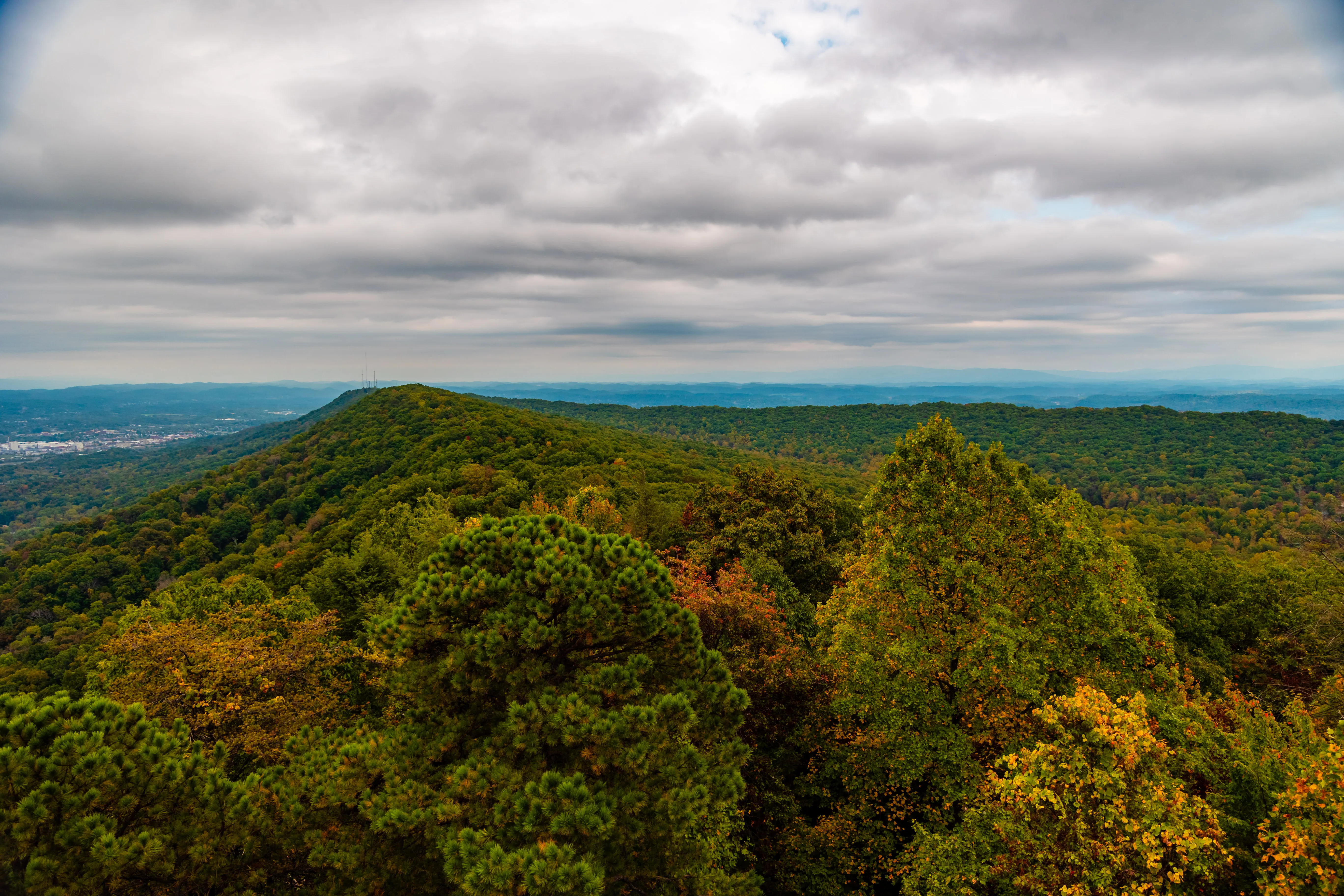 Bay's Mountain Firetower