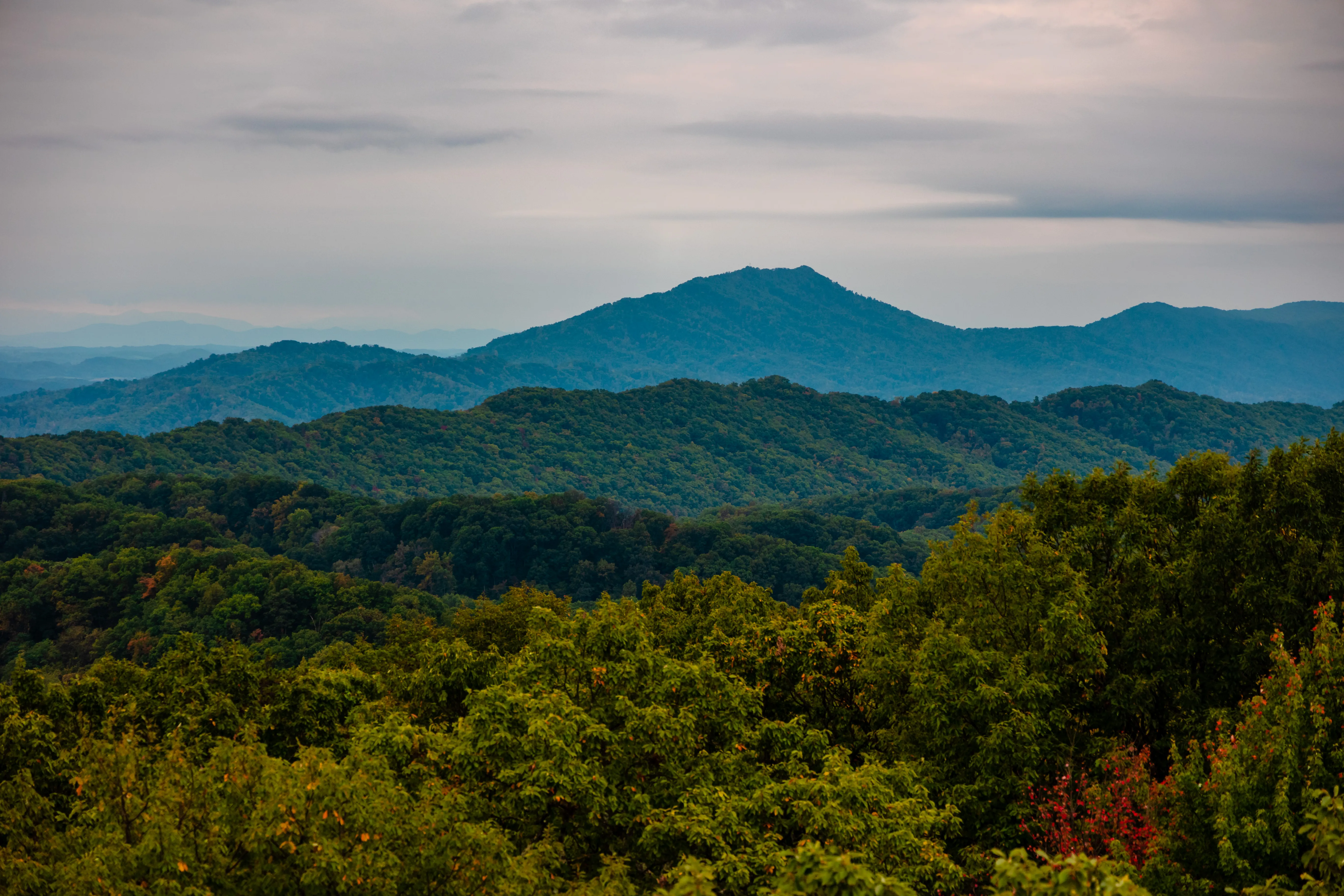 Bay's Mountain Firetower