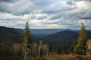 Williams River Overlook