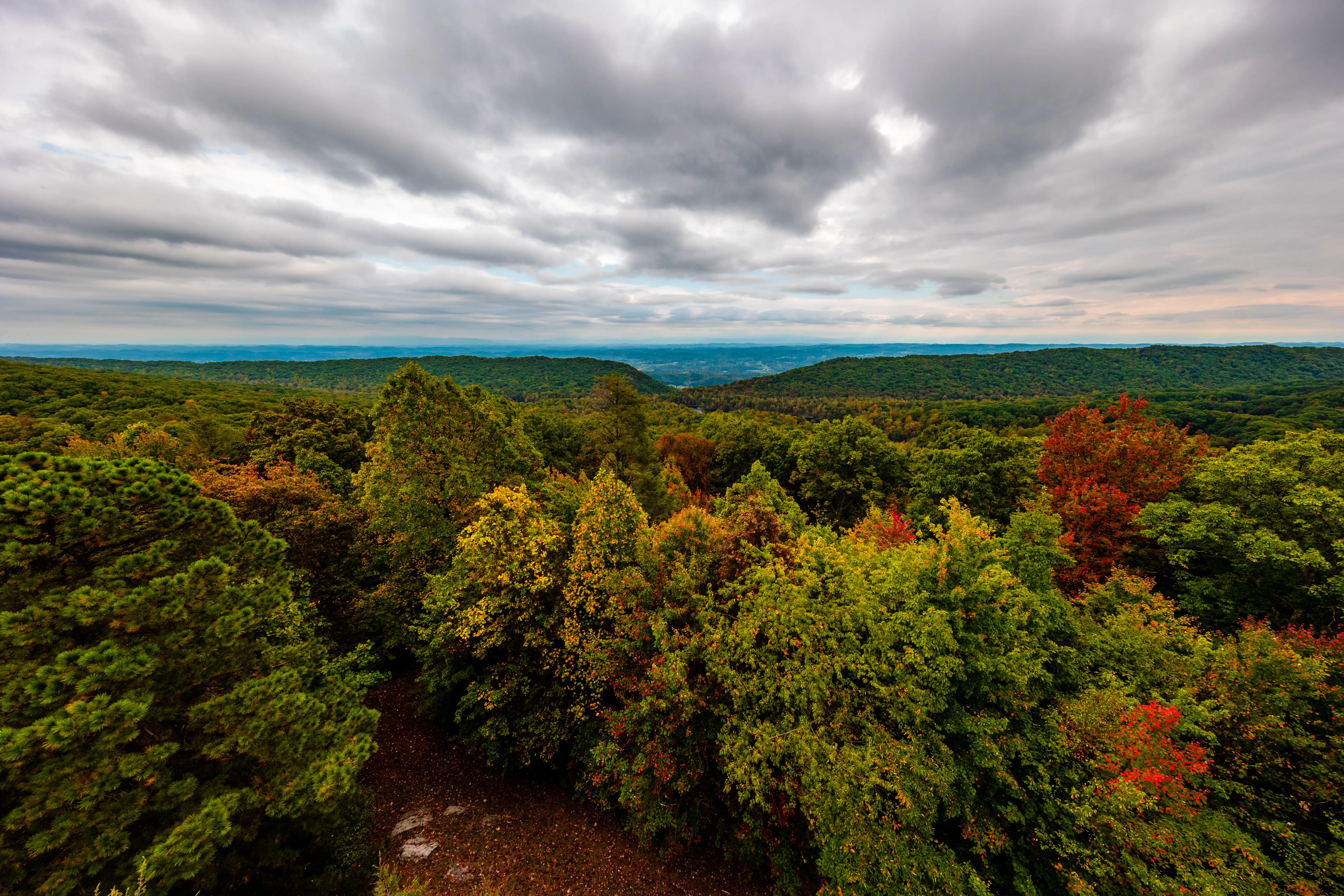 Bay's Mountain Firetower