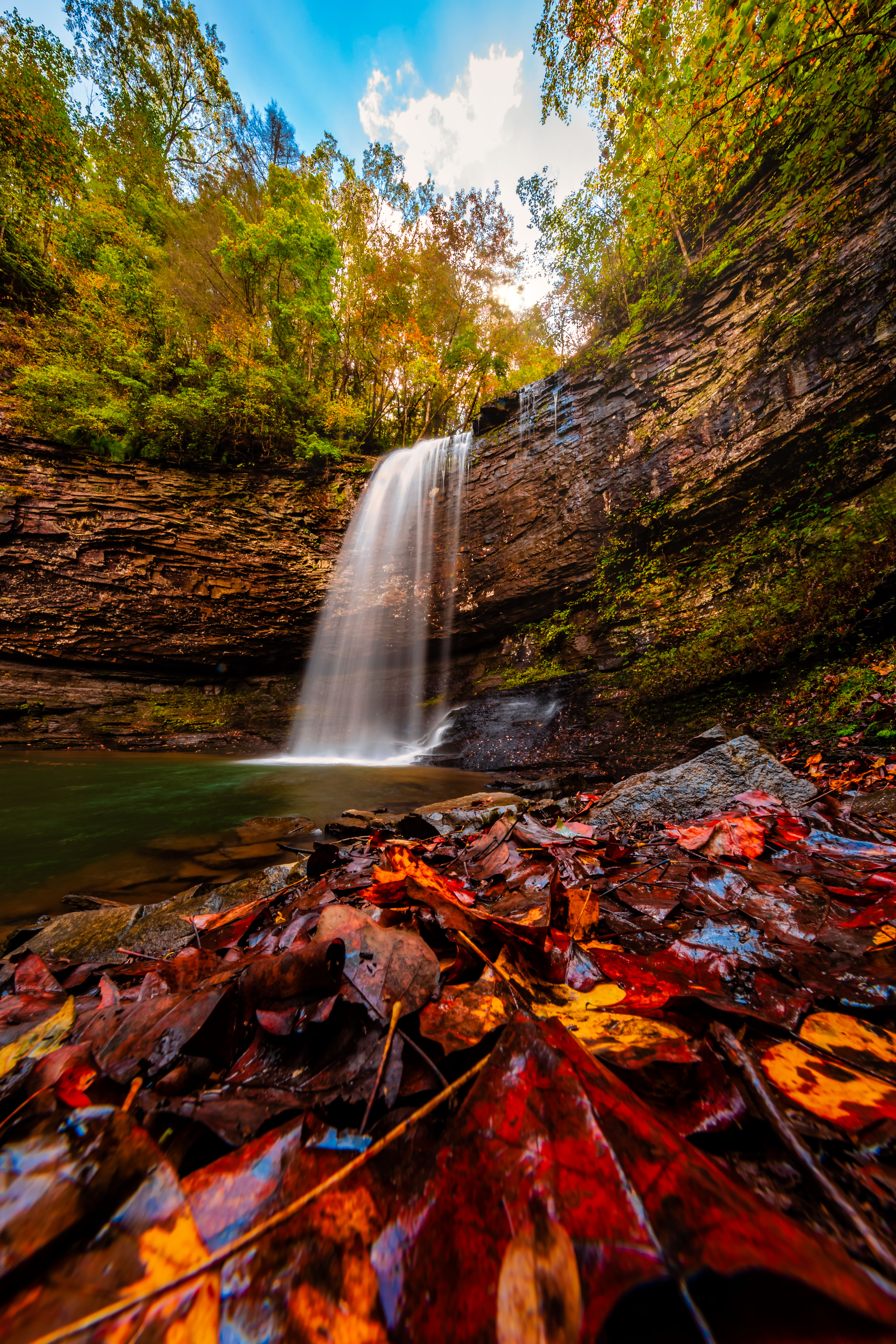 Cloudland Canyon's Waterfall Trail