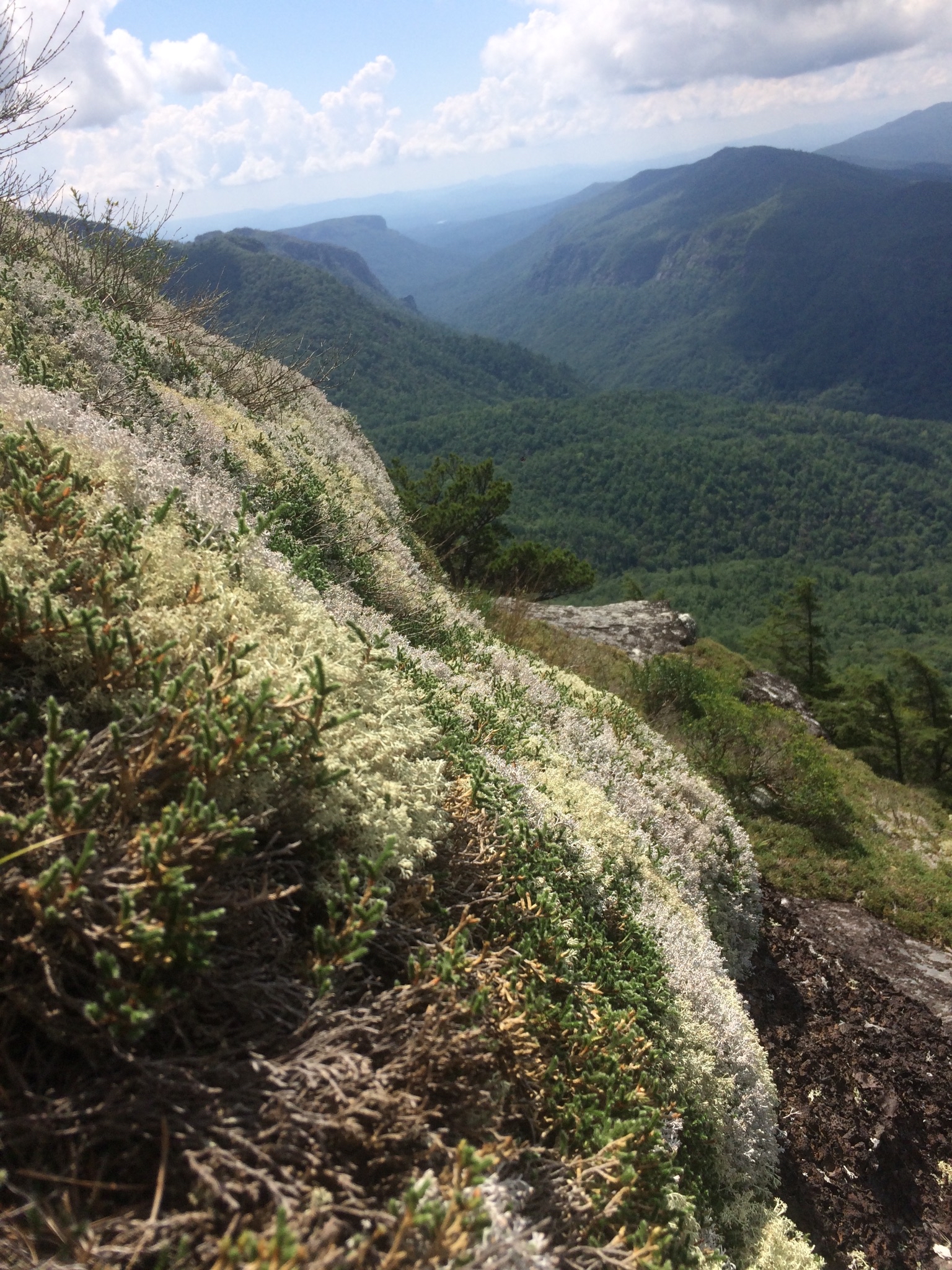 Hawksbill Mountain Trail
