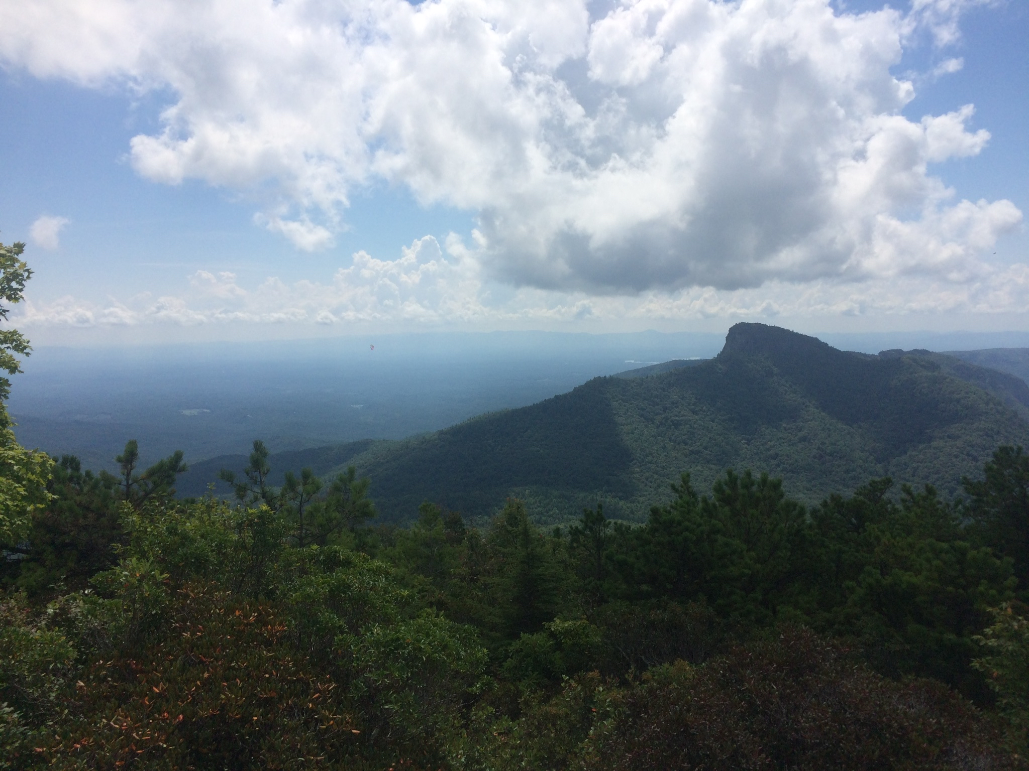Hawksbill Mountain Trail