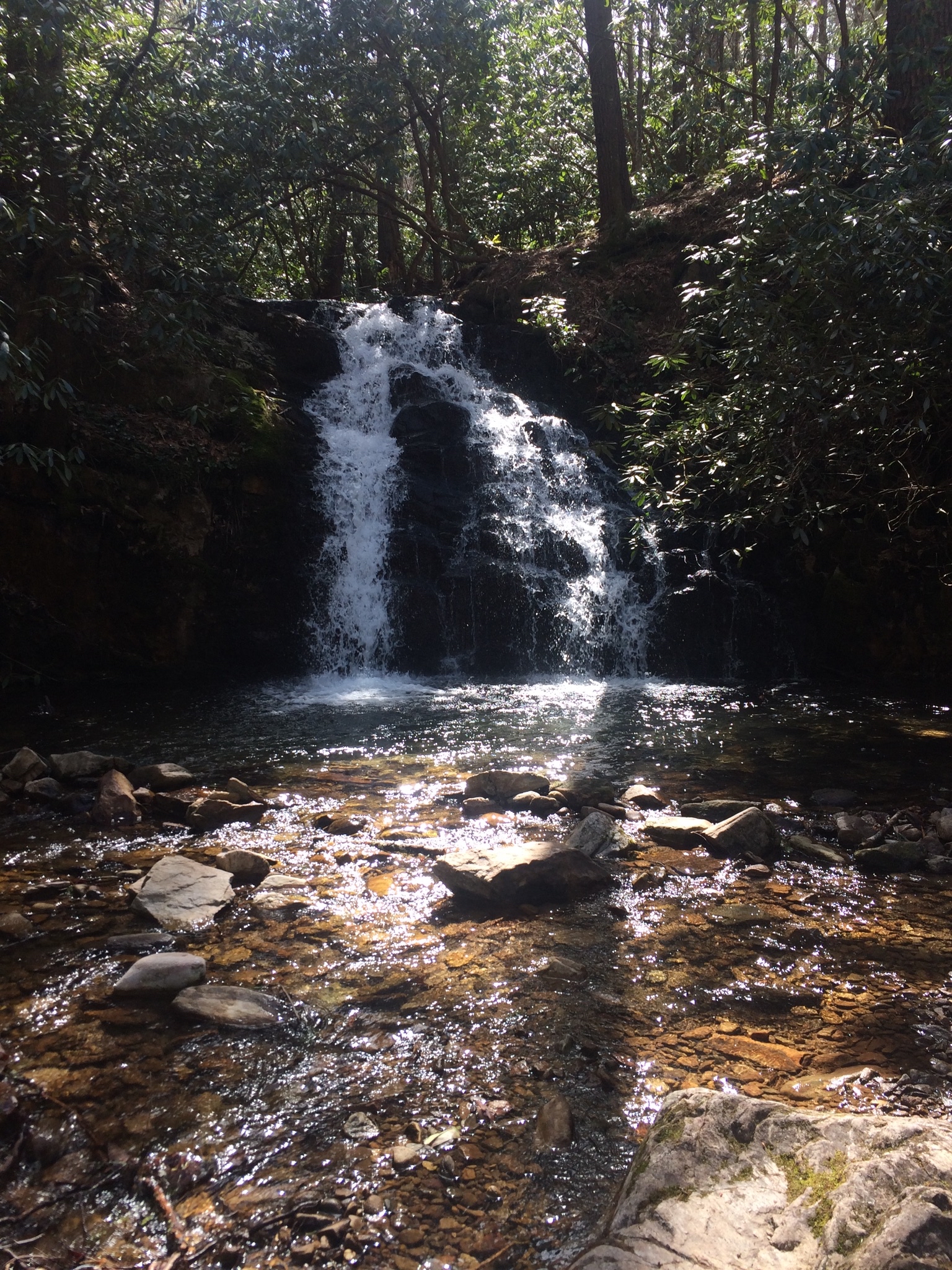 Martin's Creek Falls