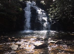 Martin's Creek Falls
