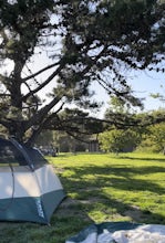 Camp at San Simeon State Park