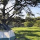 Camp at San Simeon State Park