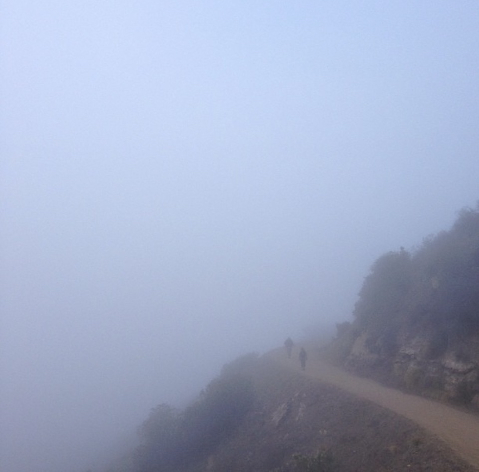 Mount Hollywood Trail