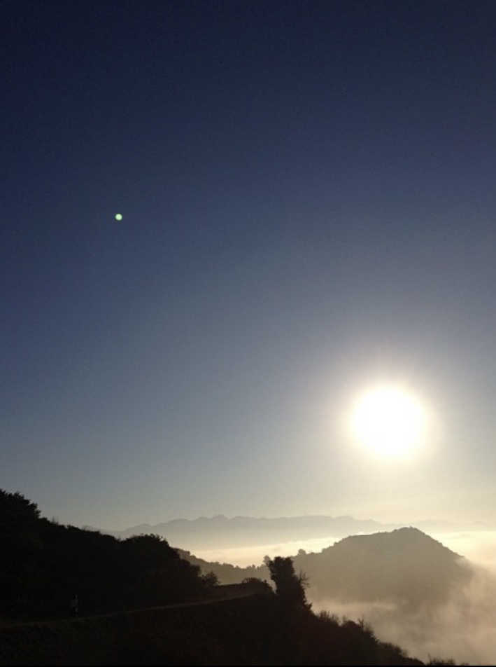 Mount Hollywood Trail