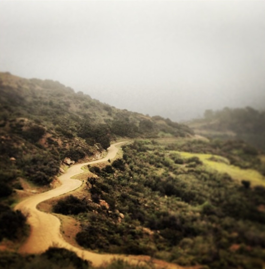Mount Hollywood Trail