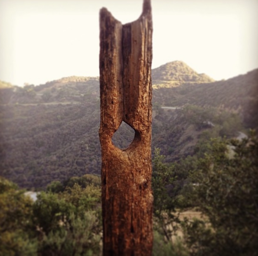 Mount Hollywood Trail