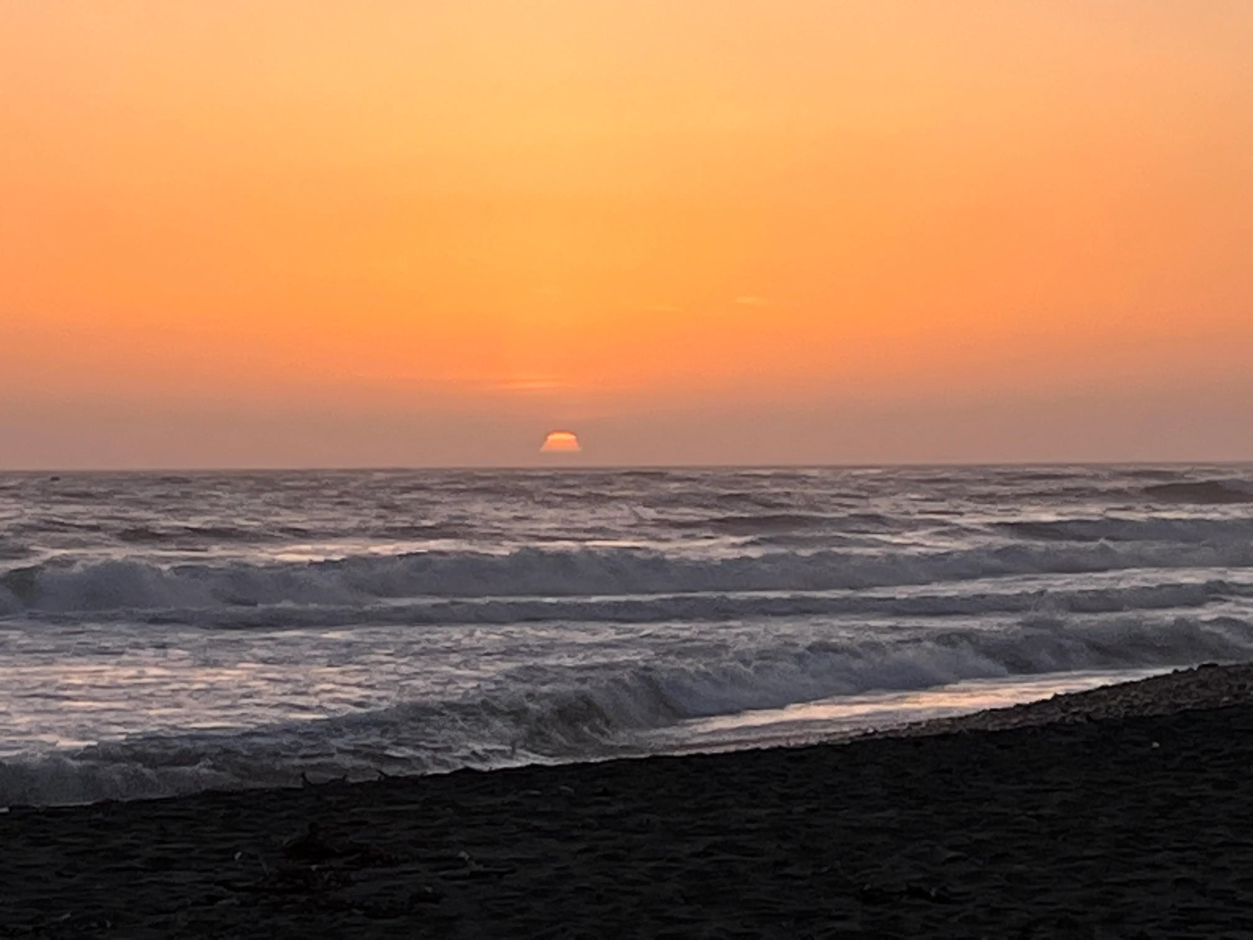 Camp at San Simeon State Park