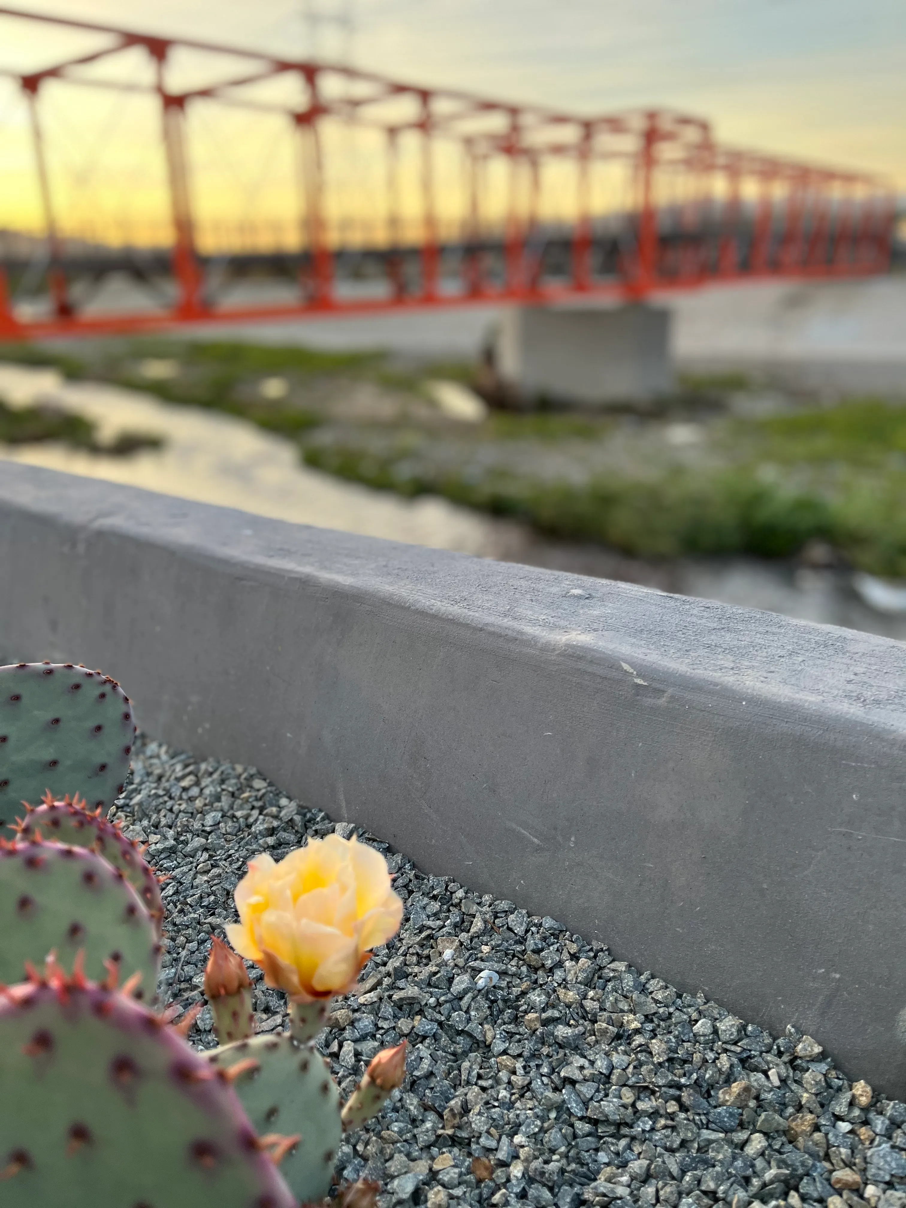 Los Angeles River: West Bank Trail