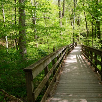 Hike the River Styx Spring Trail