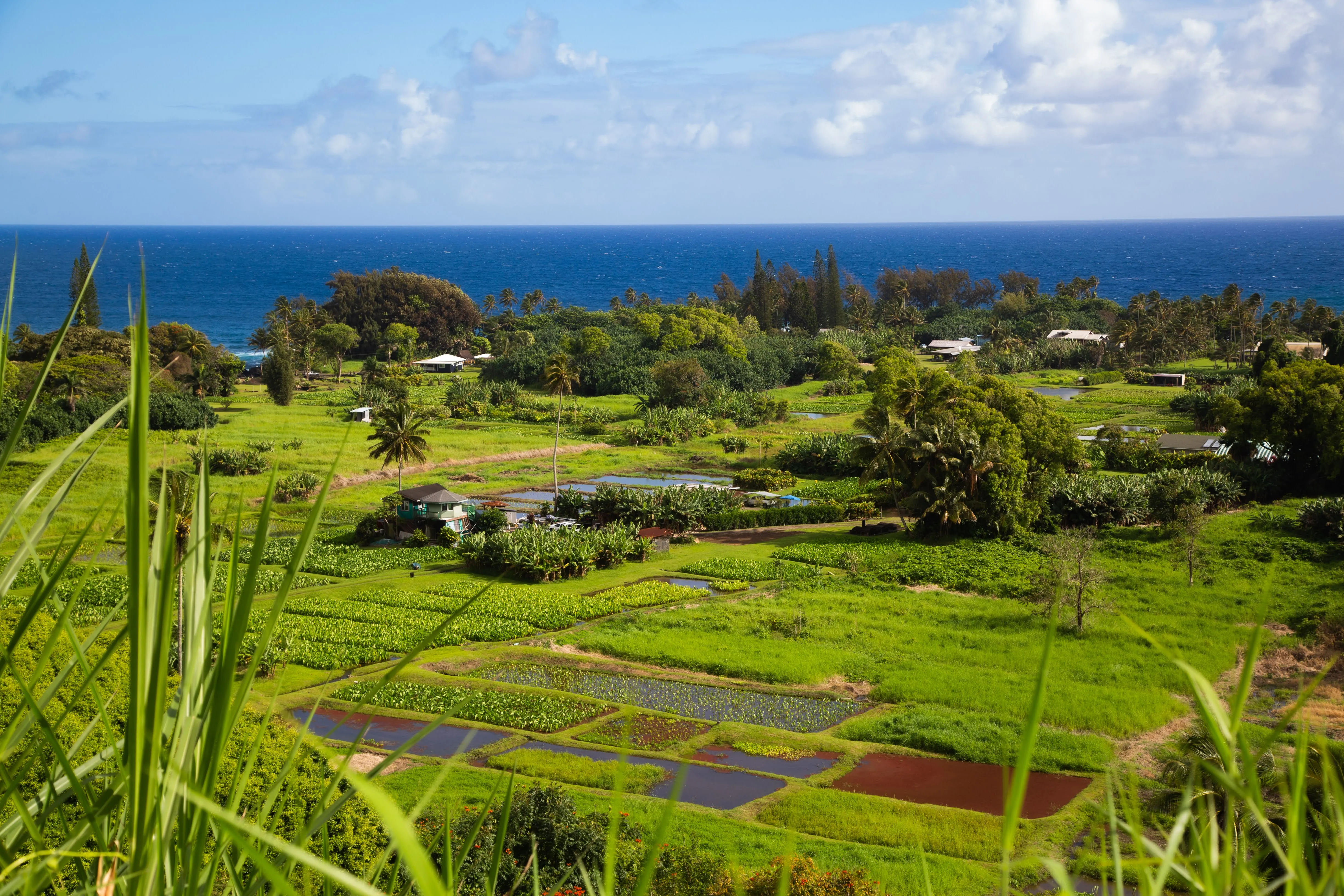 Road to Hana