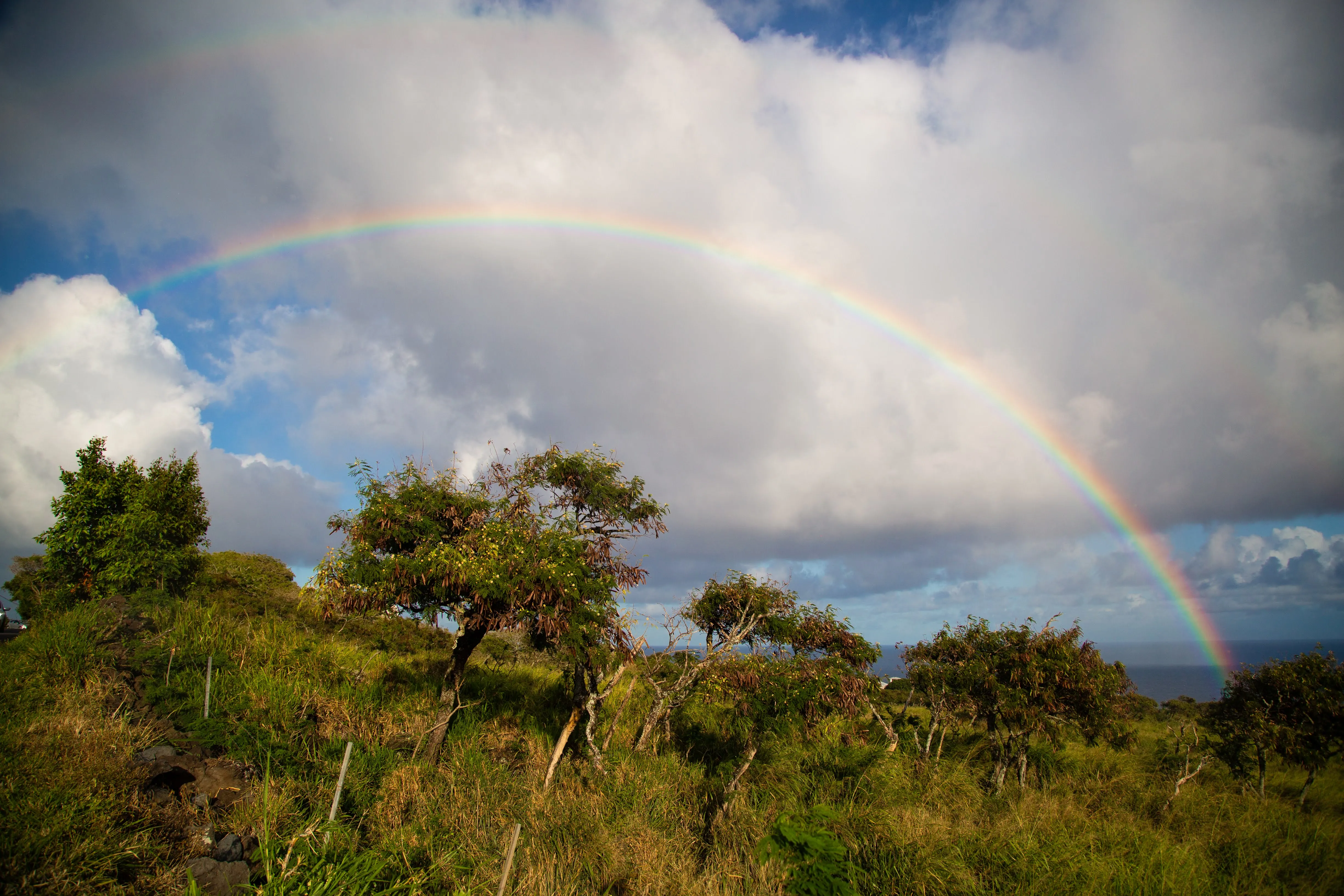 Road to Hana