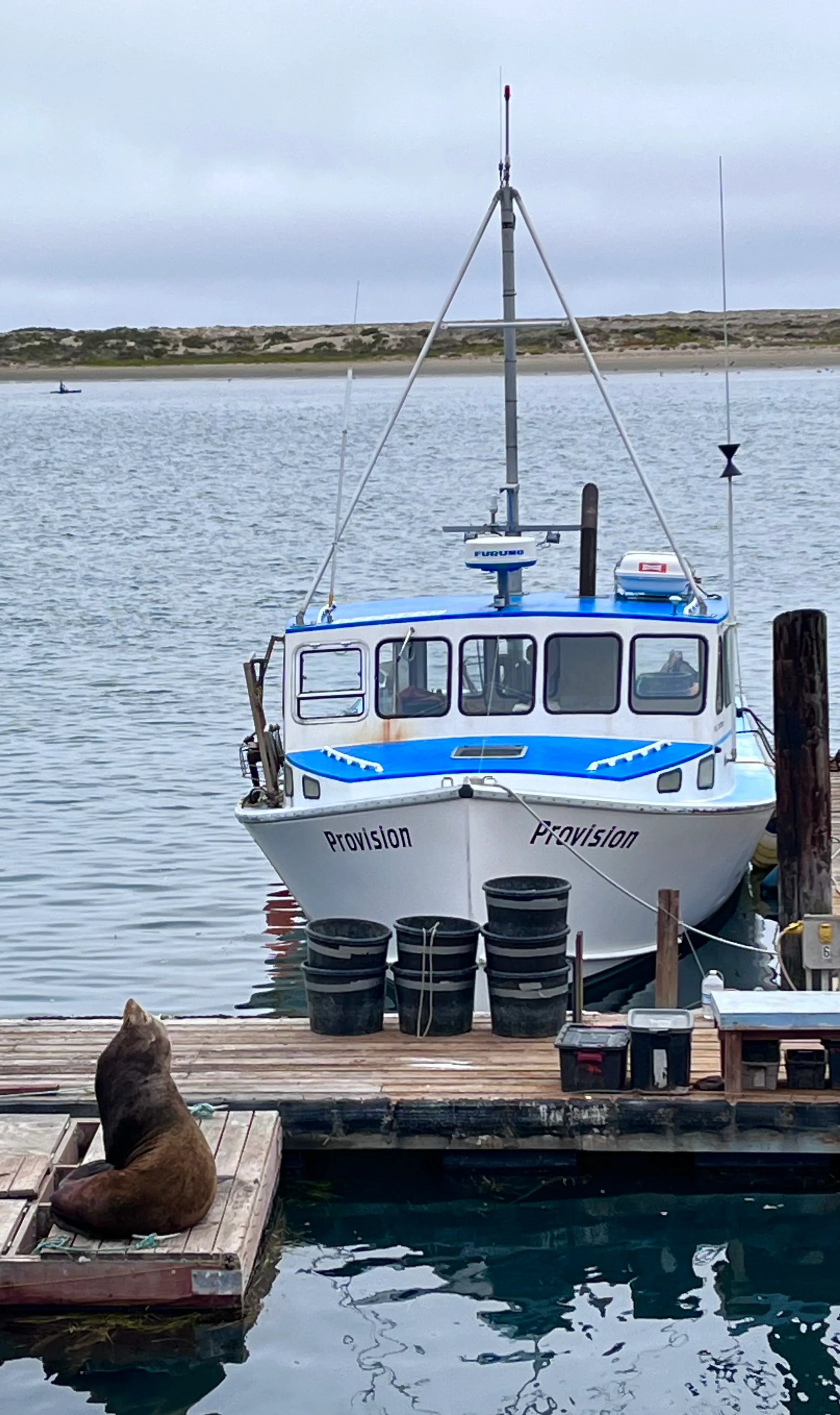 Photograph the Rock at Morro Bay