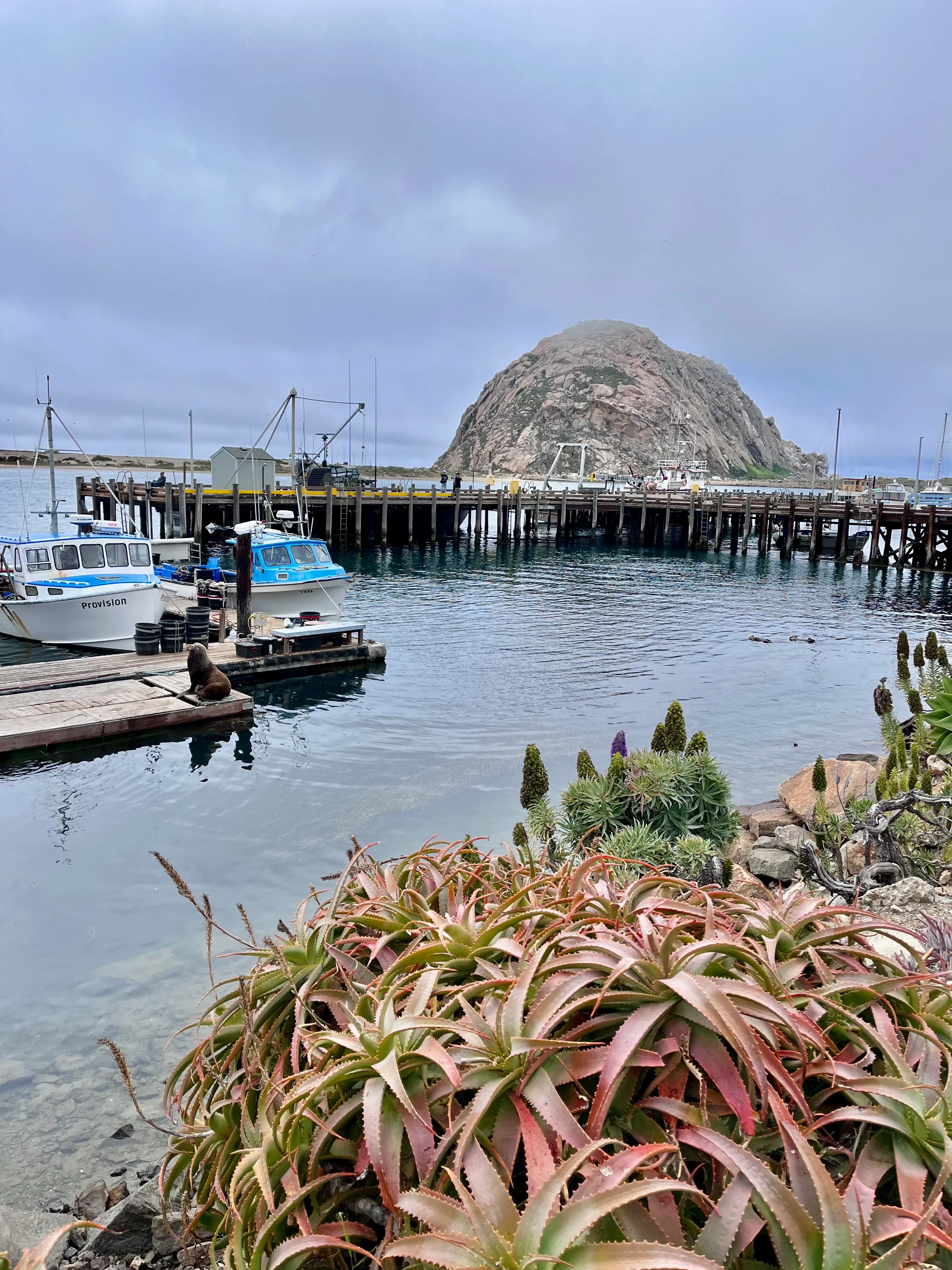 Photograph the Rock at Morro Bay