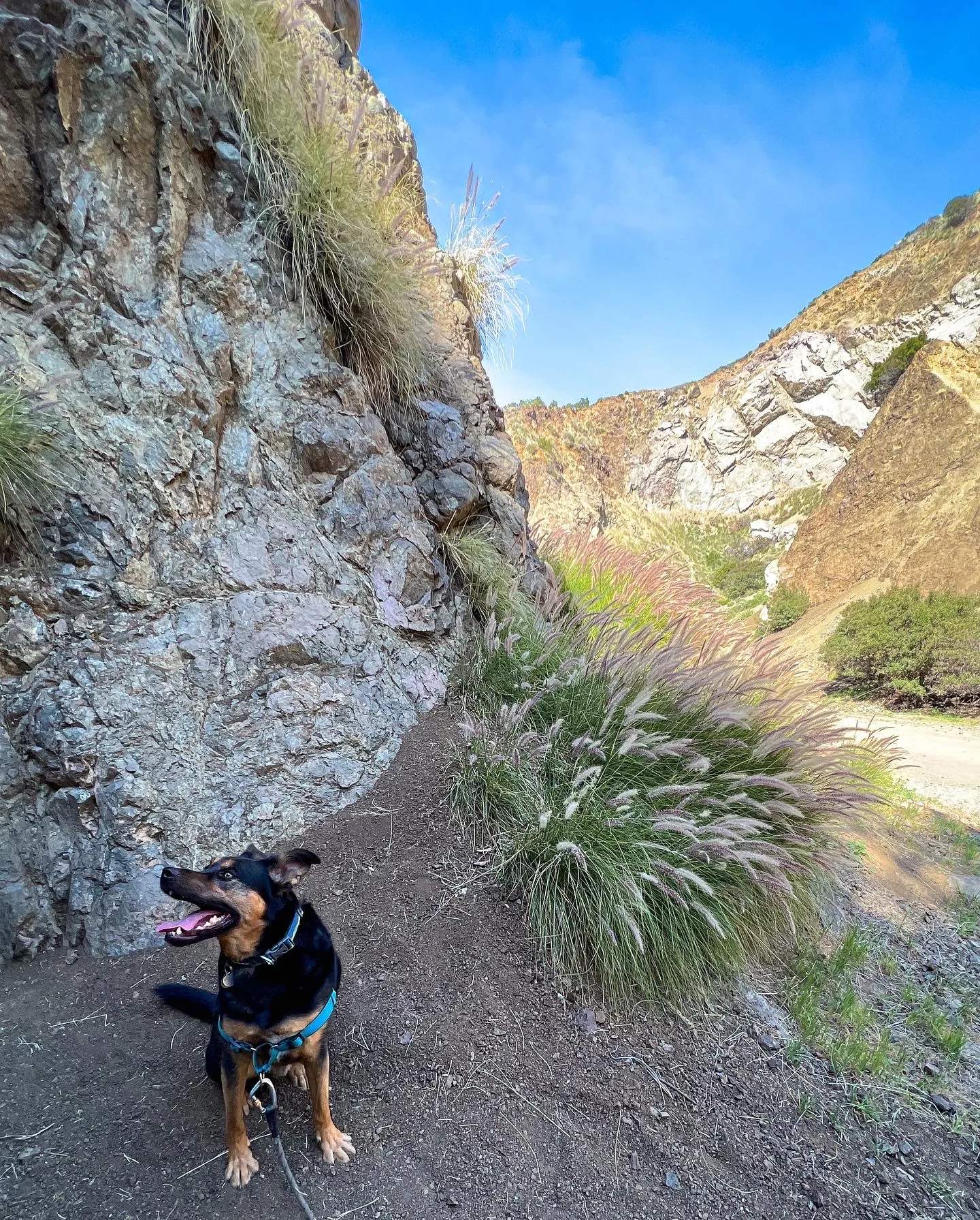 Bronson Bat Caves