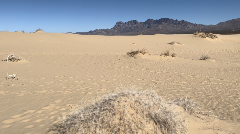 Kelso Dunes