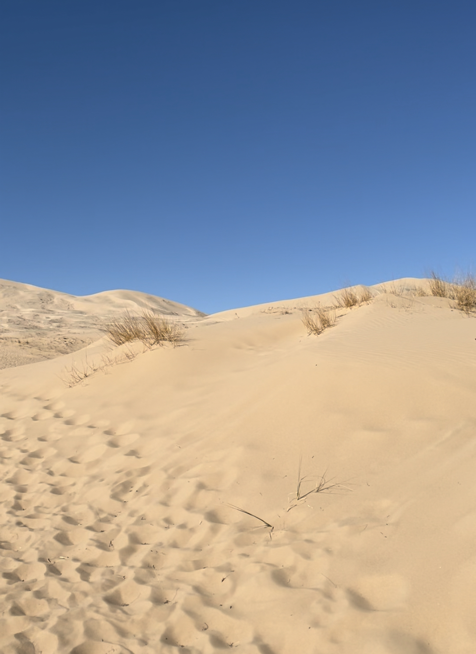 Kelso Dunes