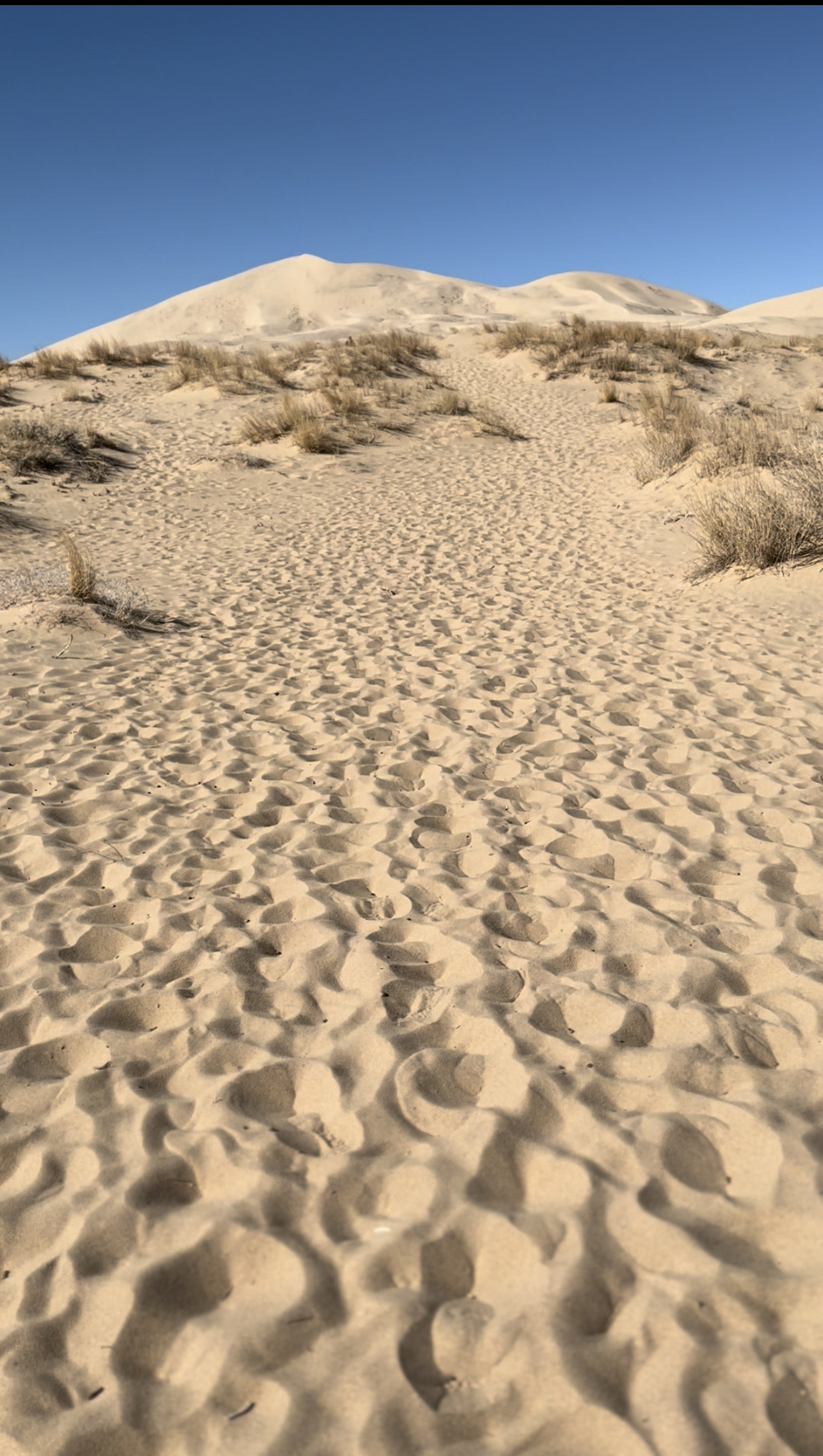 Kelso Dunes