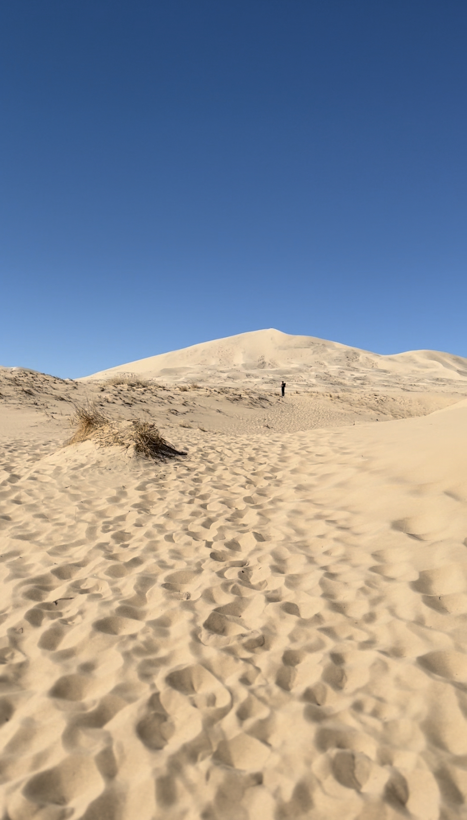 Kelso Dunes