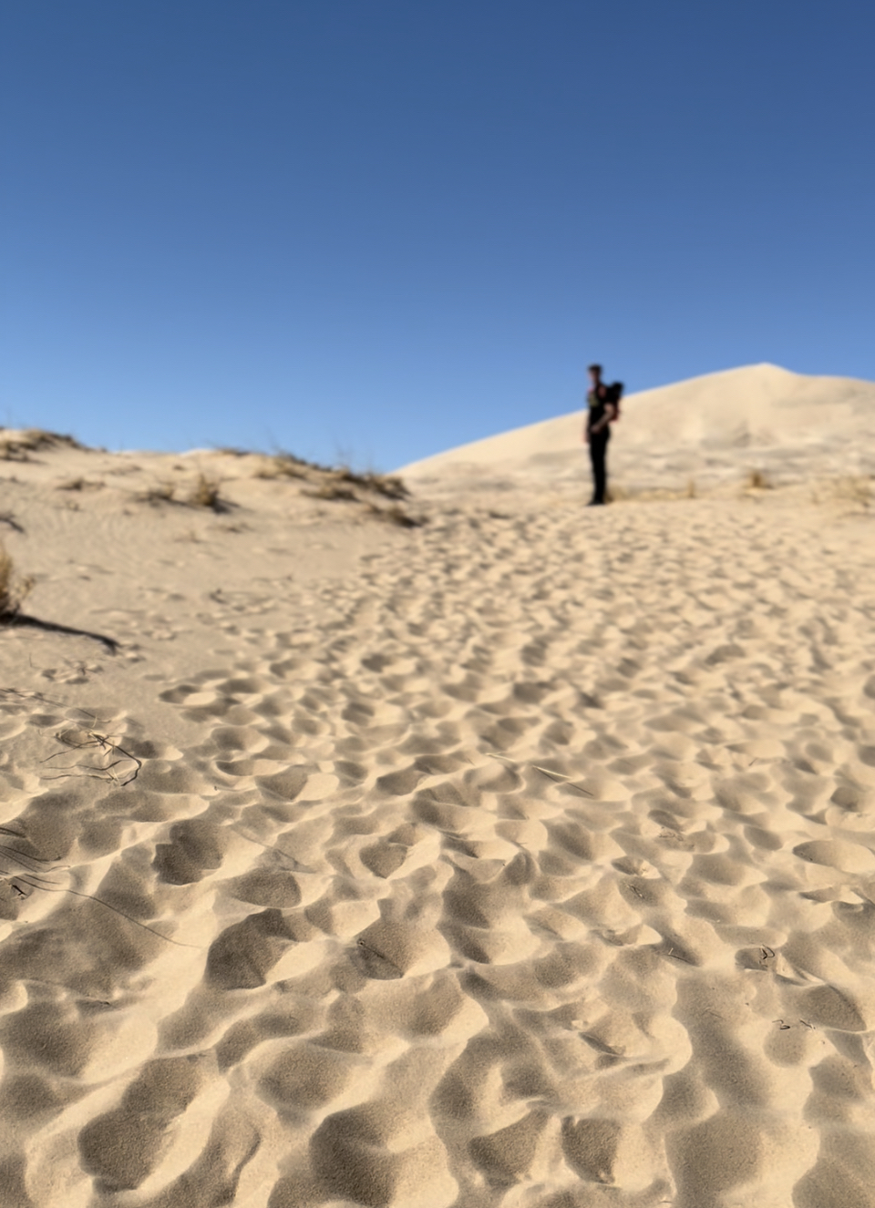 Kelso Dunes