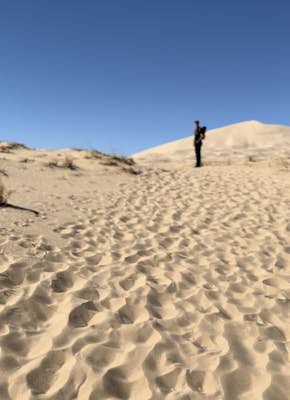 Hike Kelso Dunes