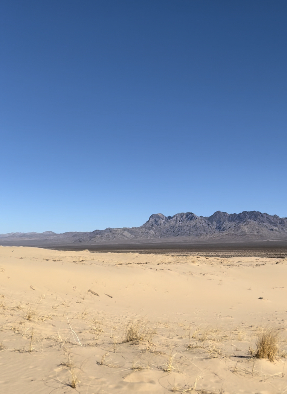 Kelso Dunes