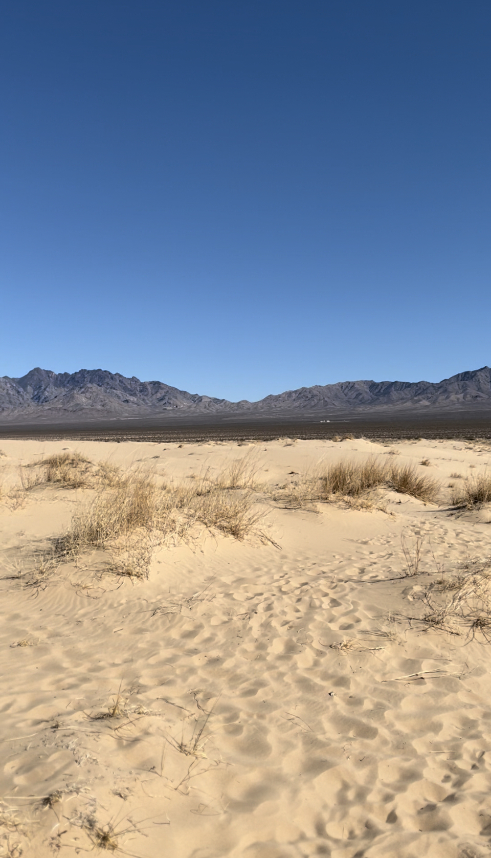 Kelso Dunes