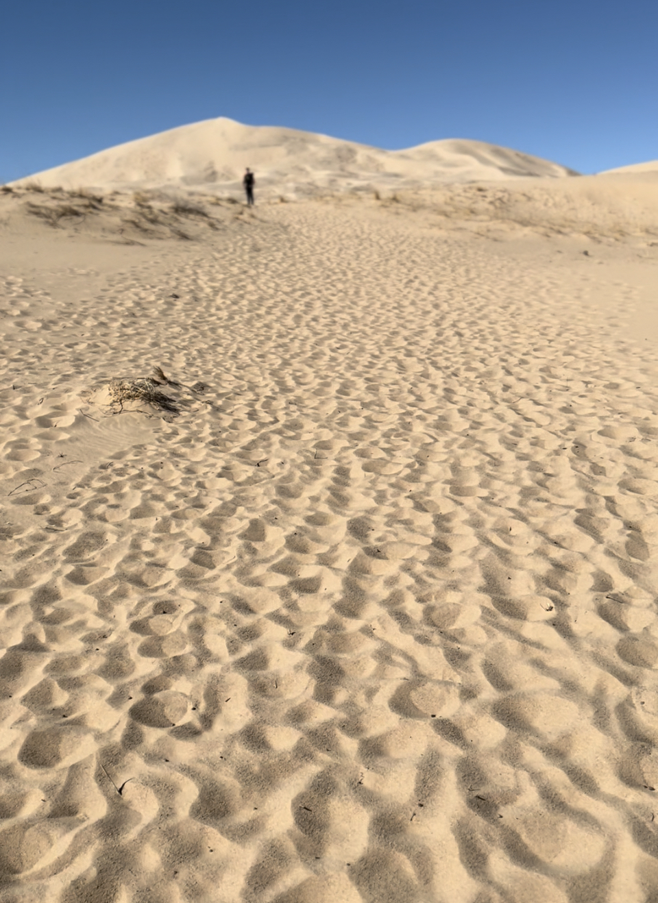 Kelso Dunes