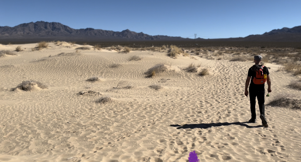 Kelso Dunes