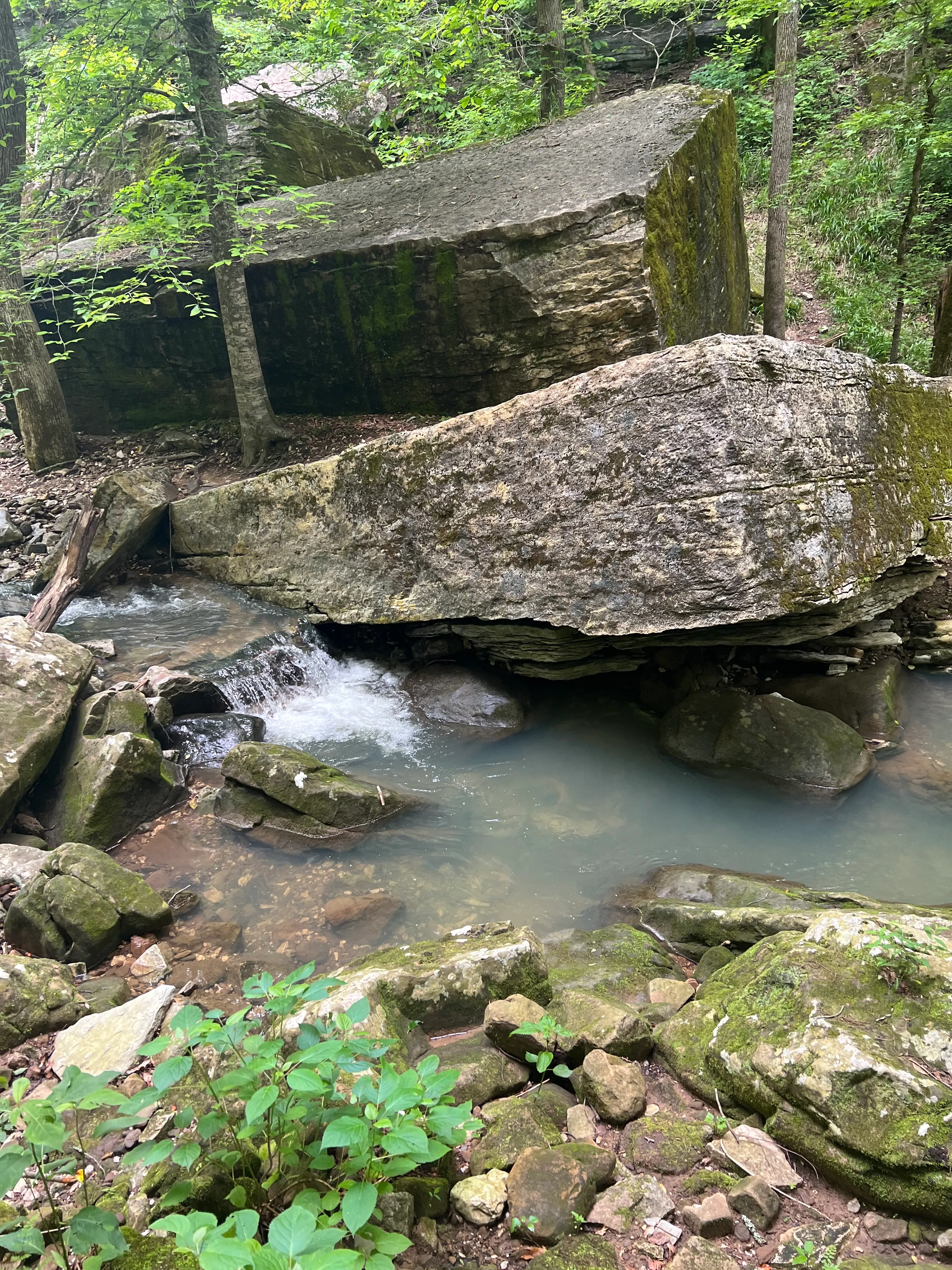Eden Falls via Lost Valley Trail