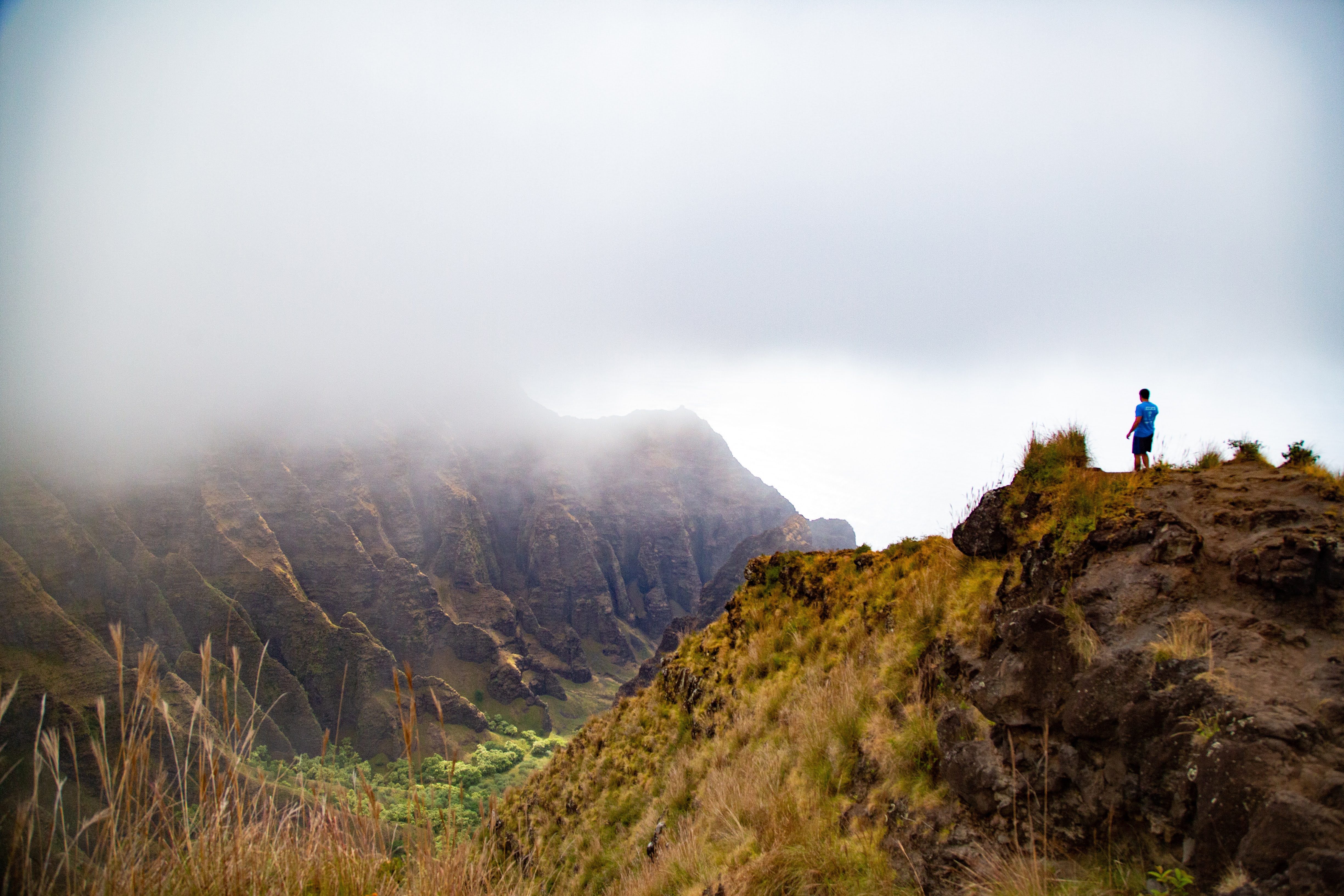 Awa'awapuhi Trail