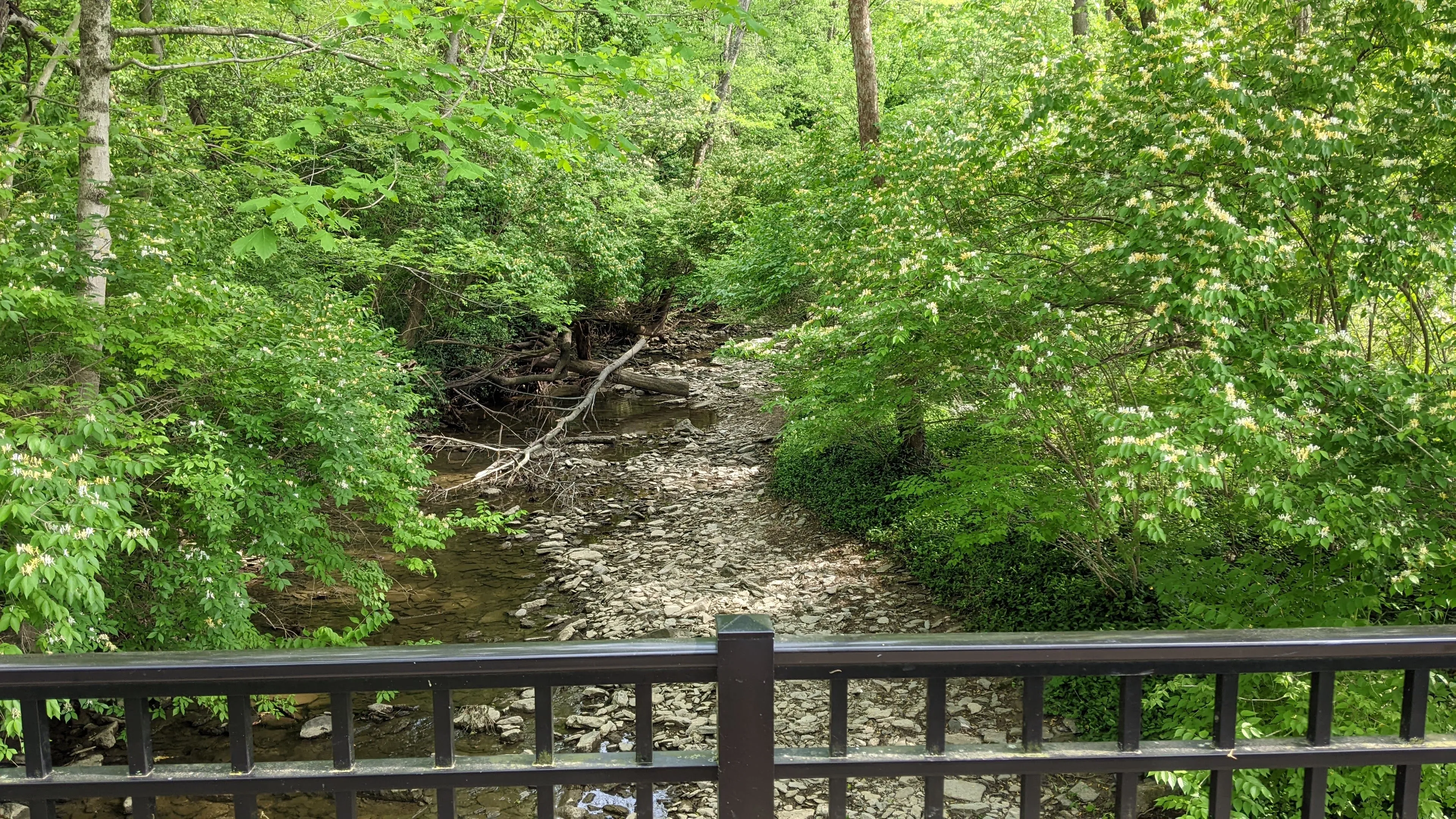 Loveland Nature Trail