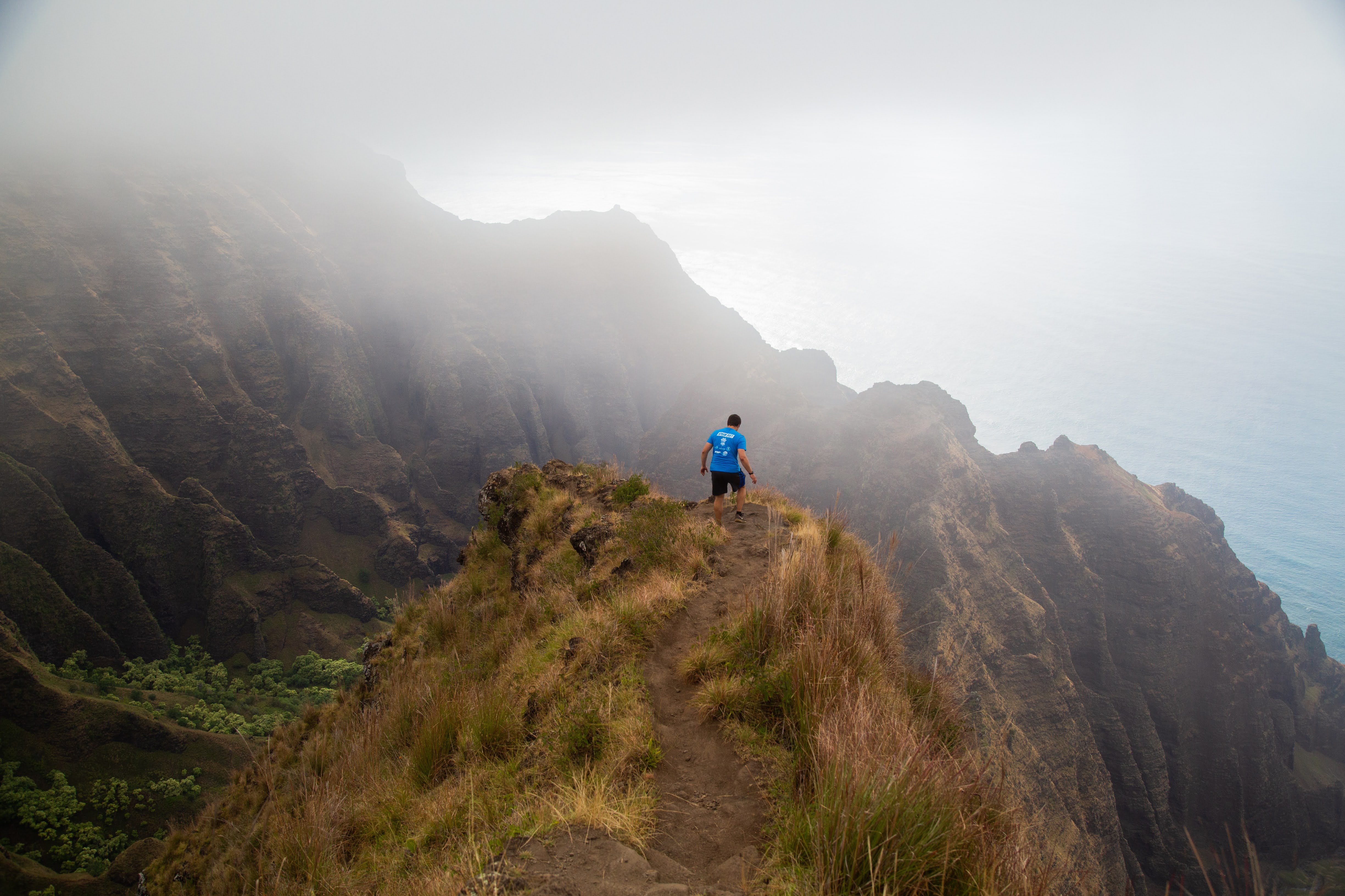 Awa'awapuhi Trail