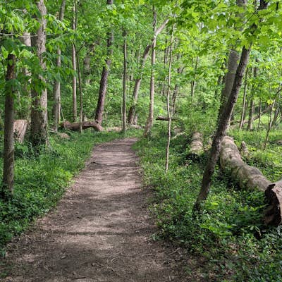 Loveland Nature Trail