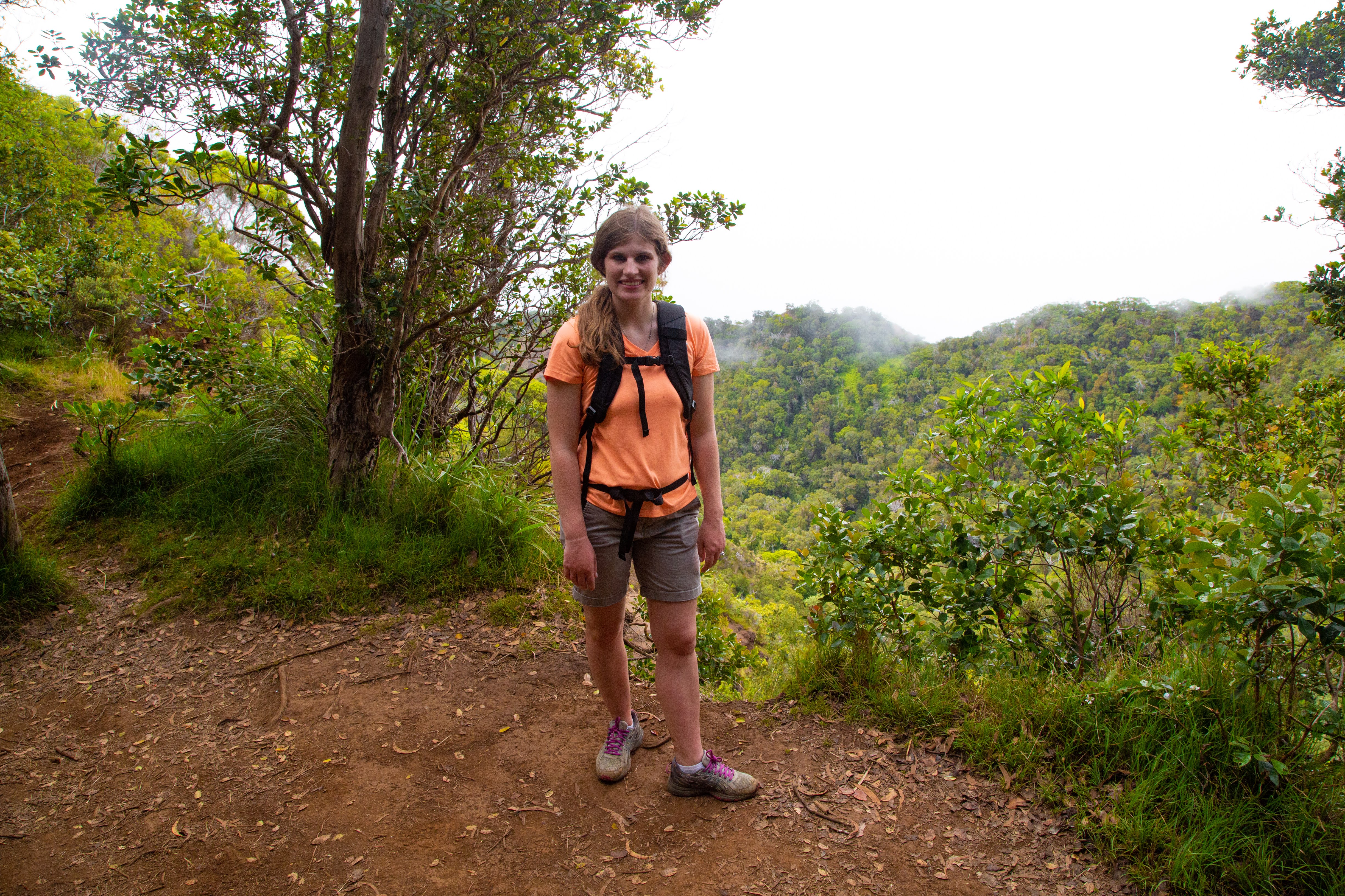 Awa'awapuhi Trail