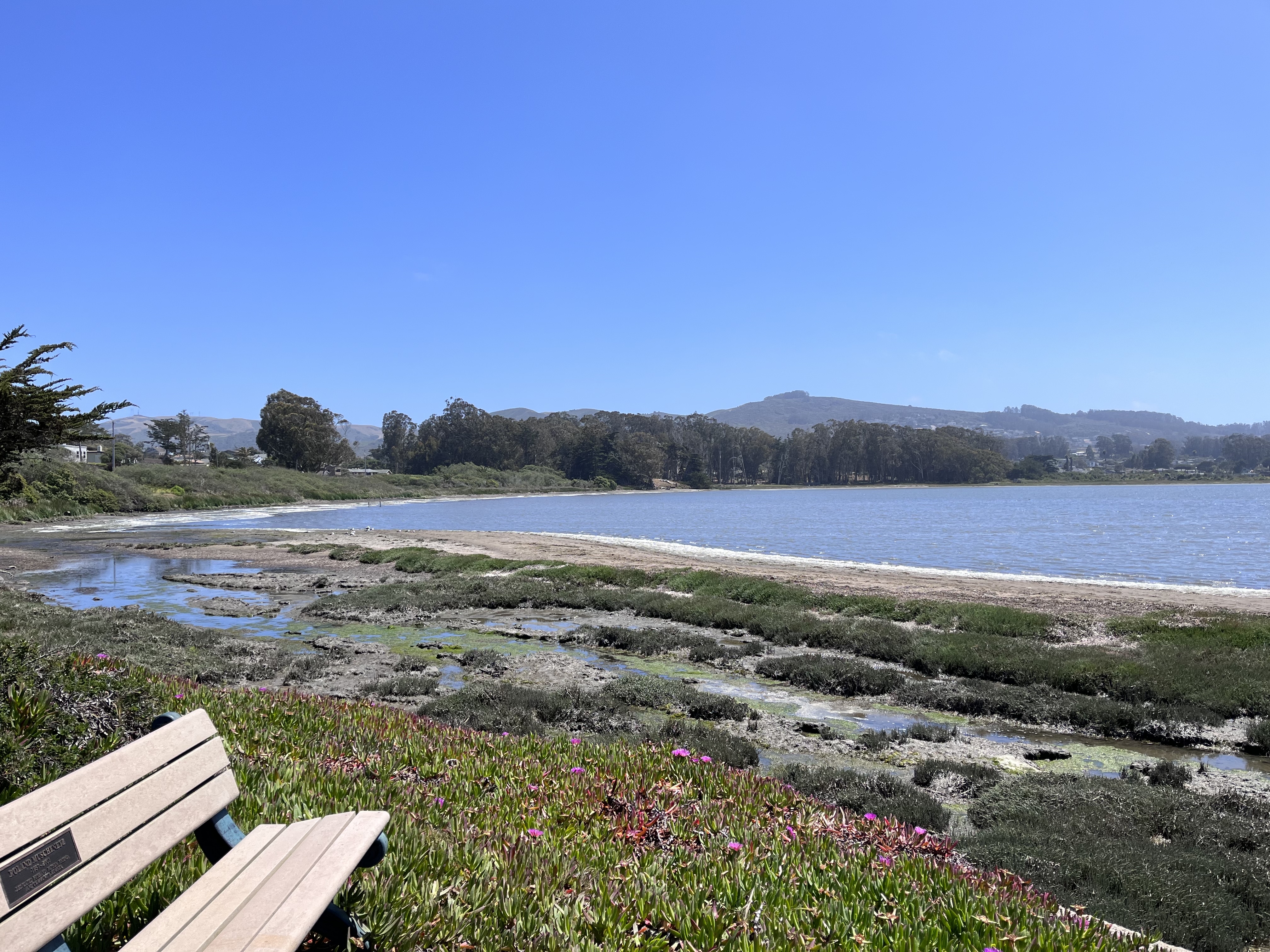 Baywood Park & Pier
