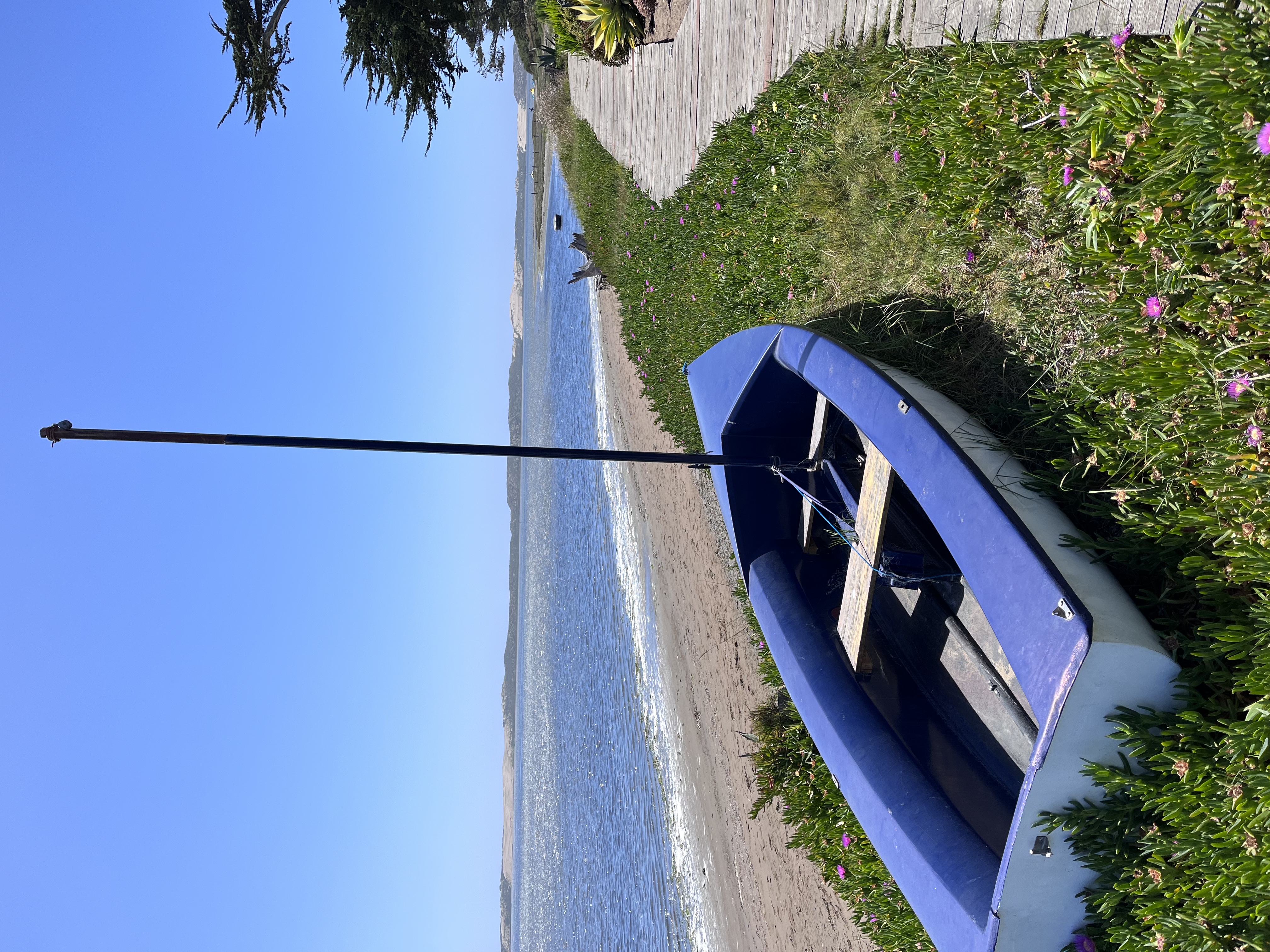 Baywood Park & Pier