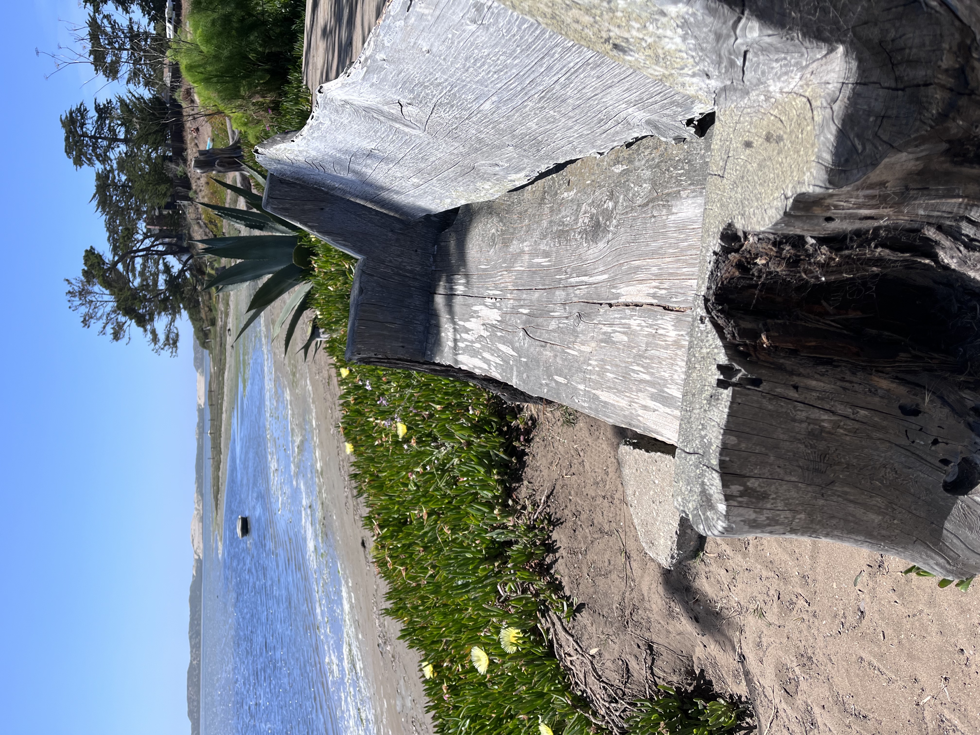 Baywood Park & Pier