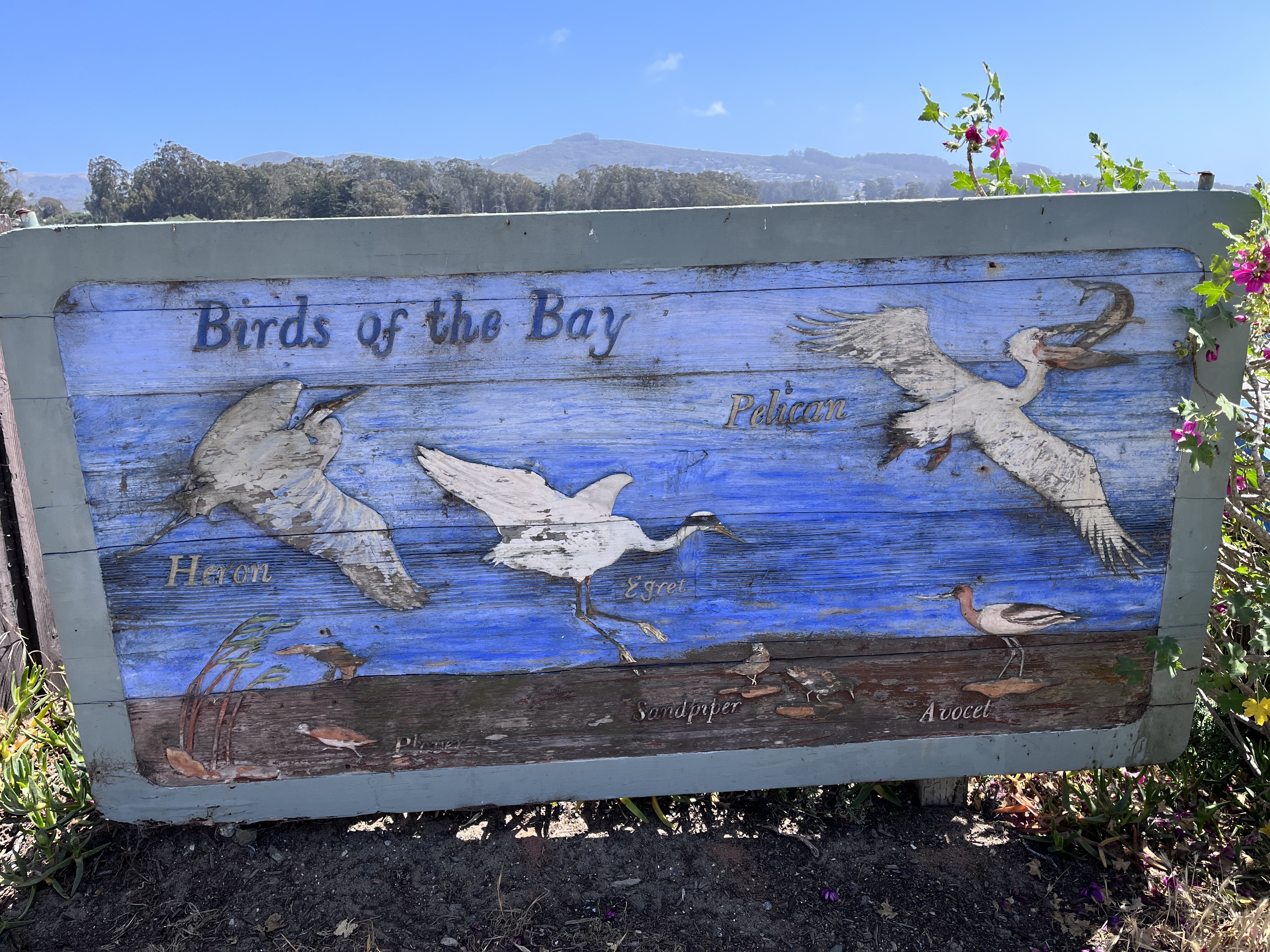 Baywood Park & Pier