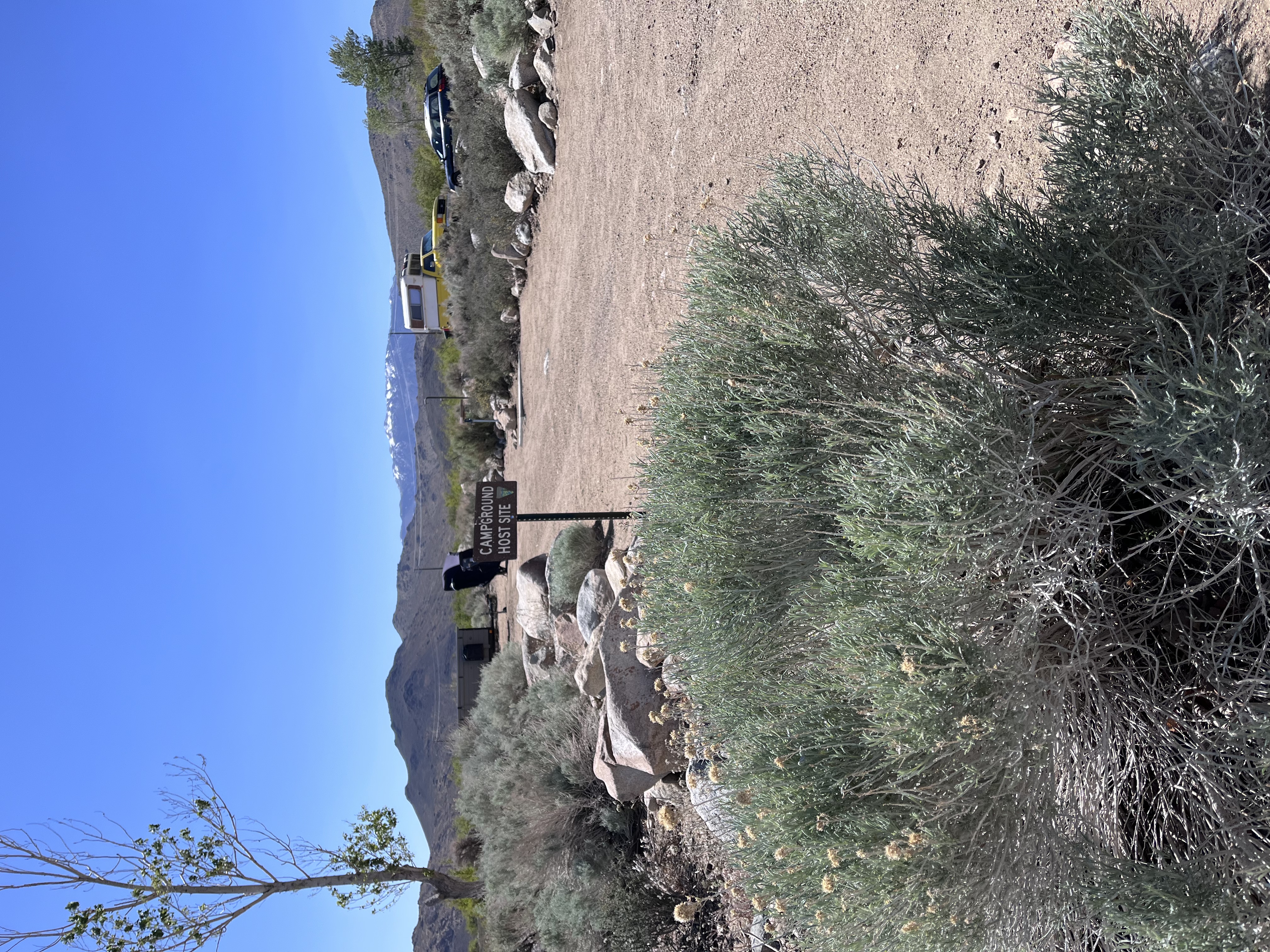 BLM Horton Creek Campgrounds