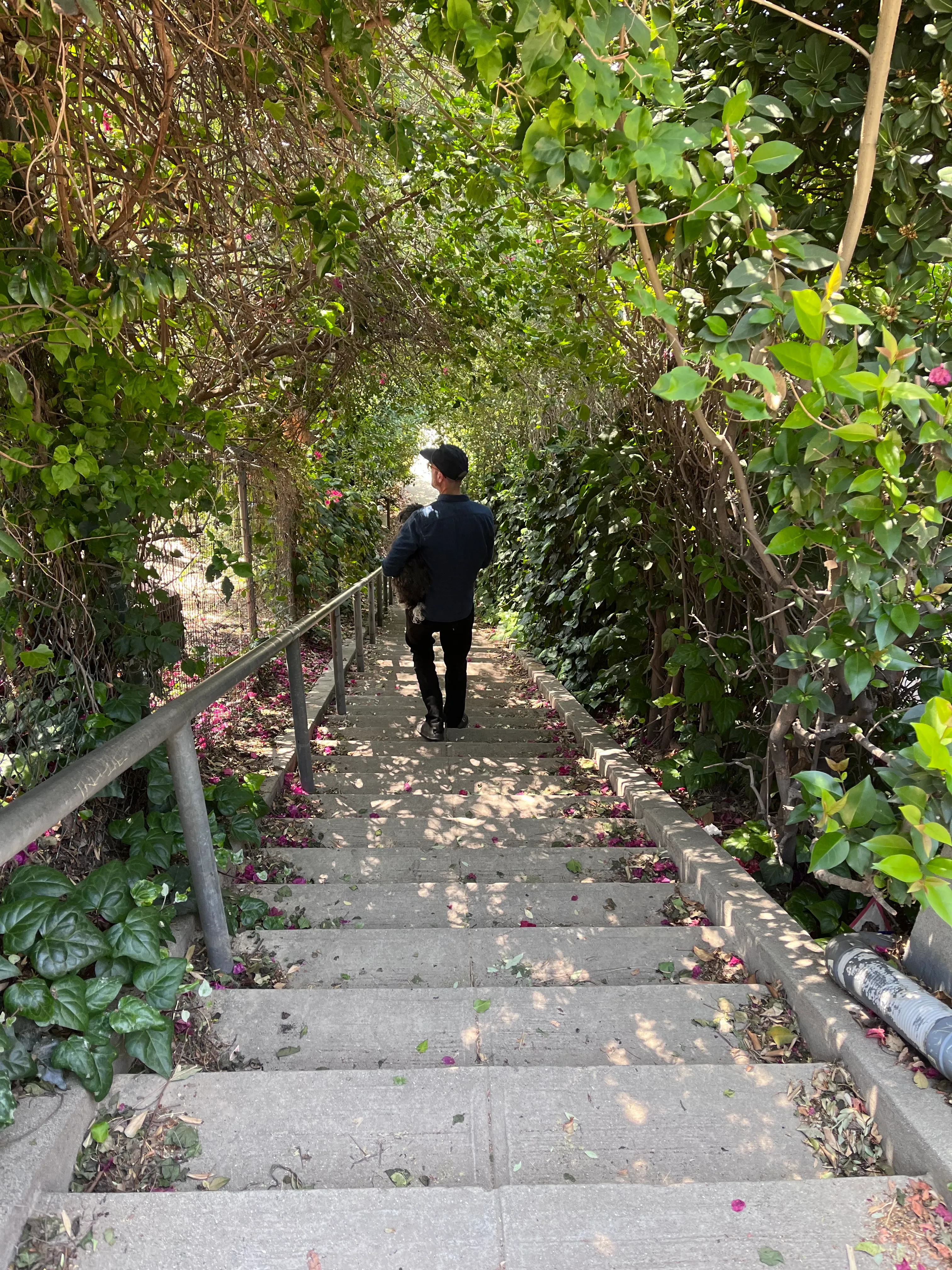 Landa St Stairs (Esther's Steps)